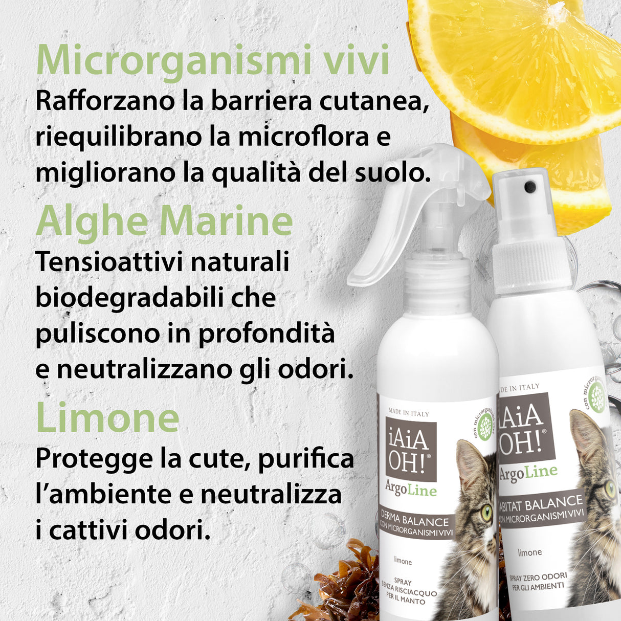 GATTO - ArgoLine BALANCE PACK con microrganismi vivi