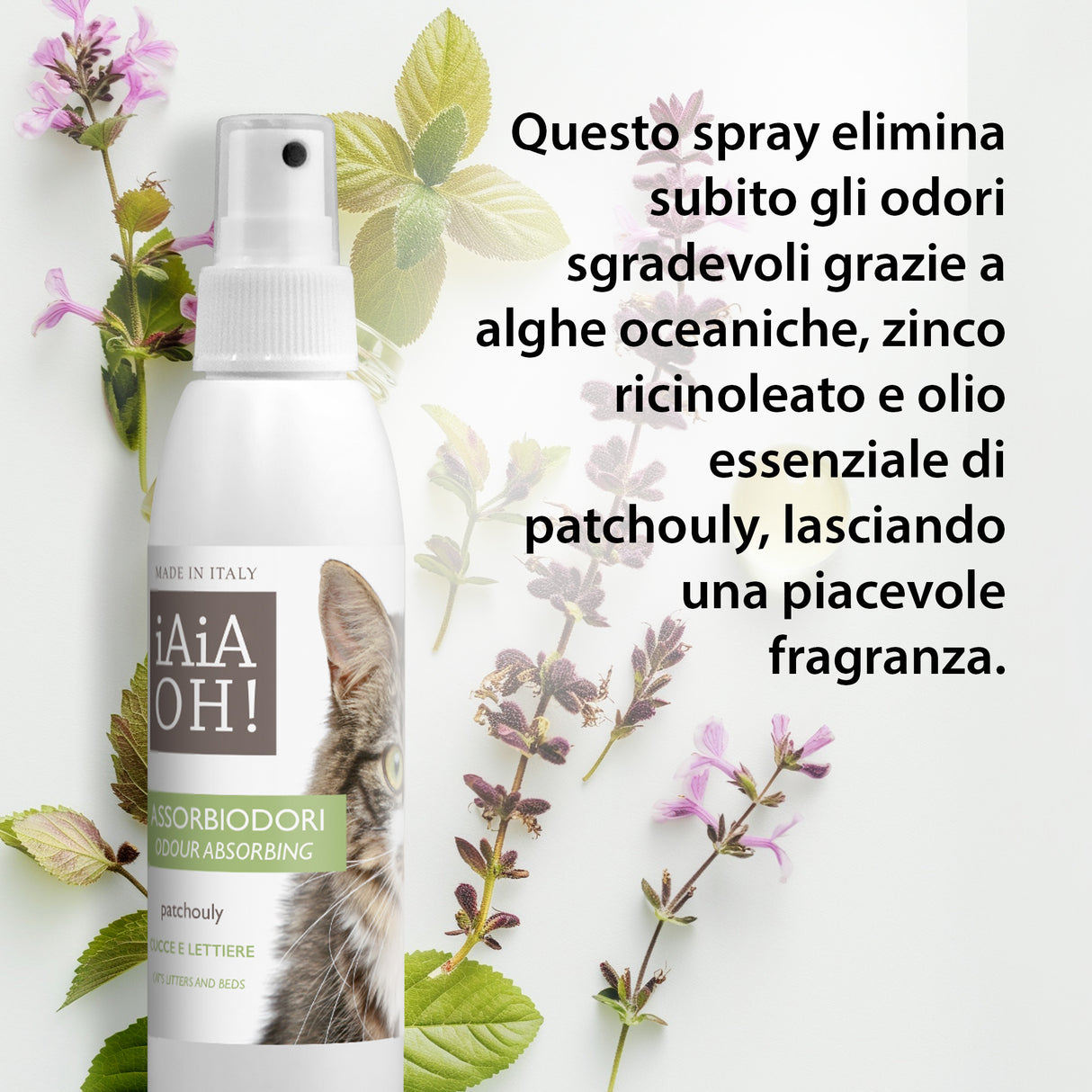 GATTO - OCCHI & AMBIENTE PACK