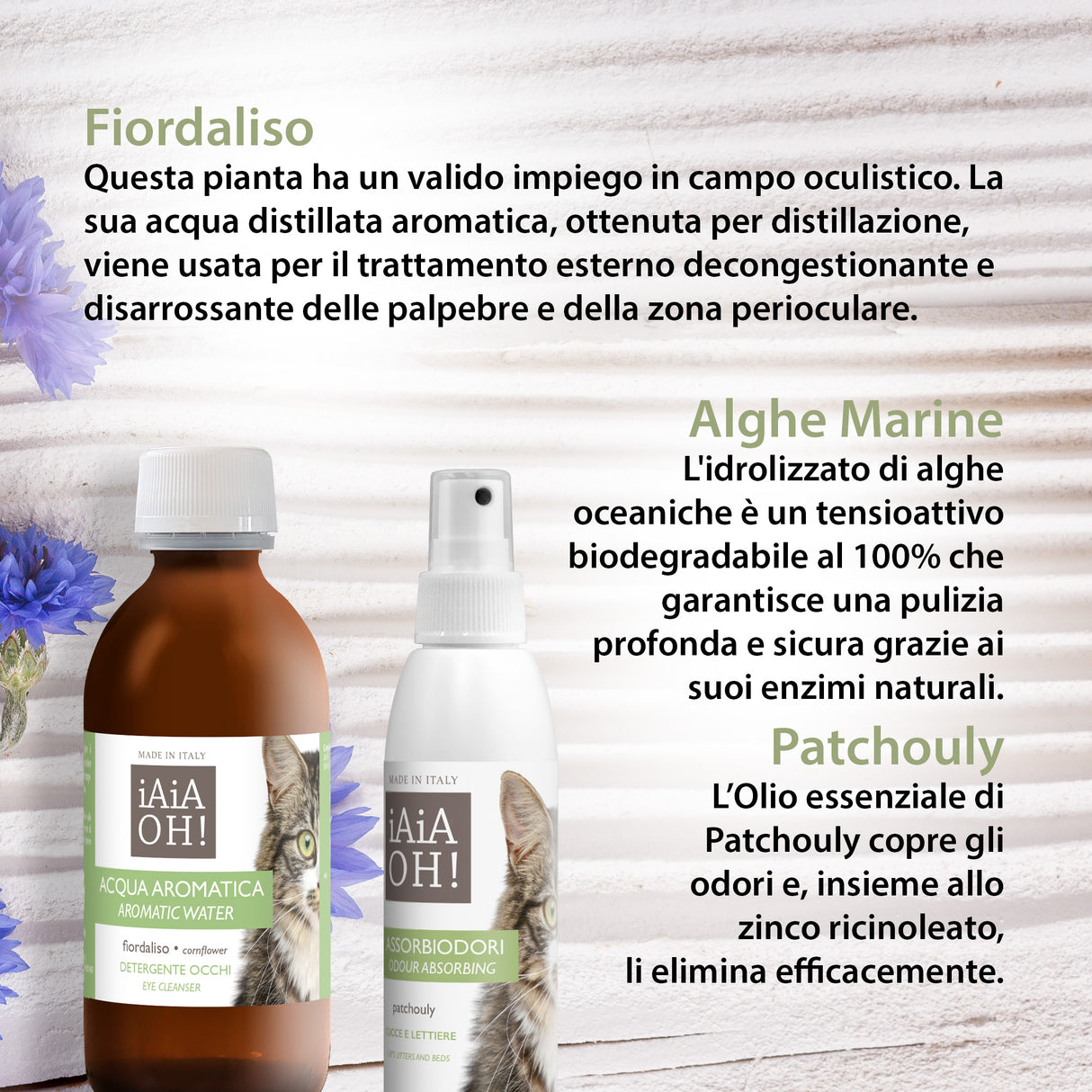 GATTO - OCCHI & AMBIENTE PACK