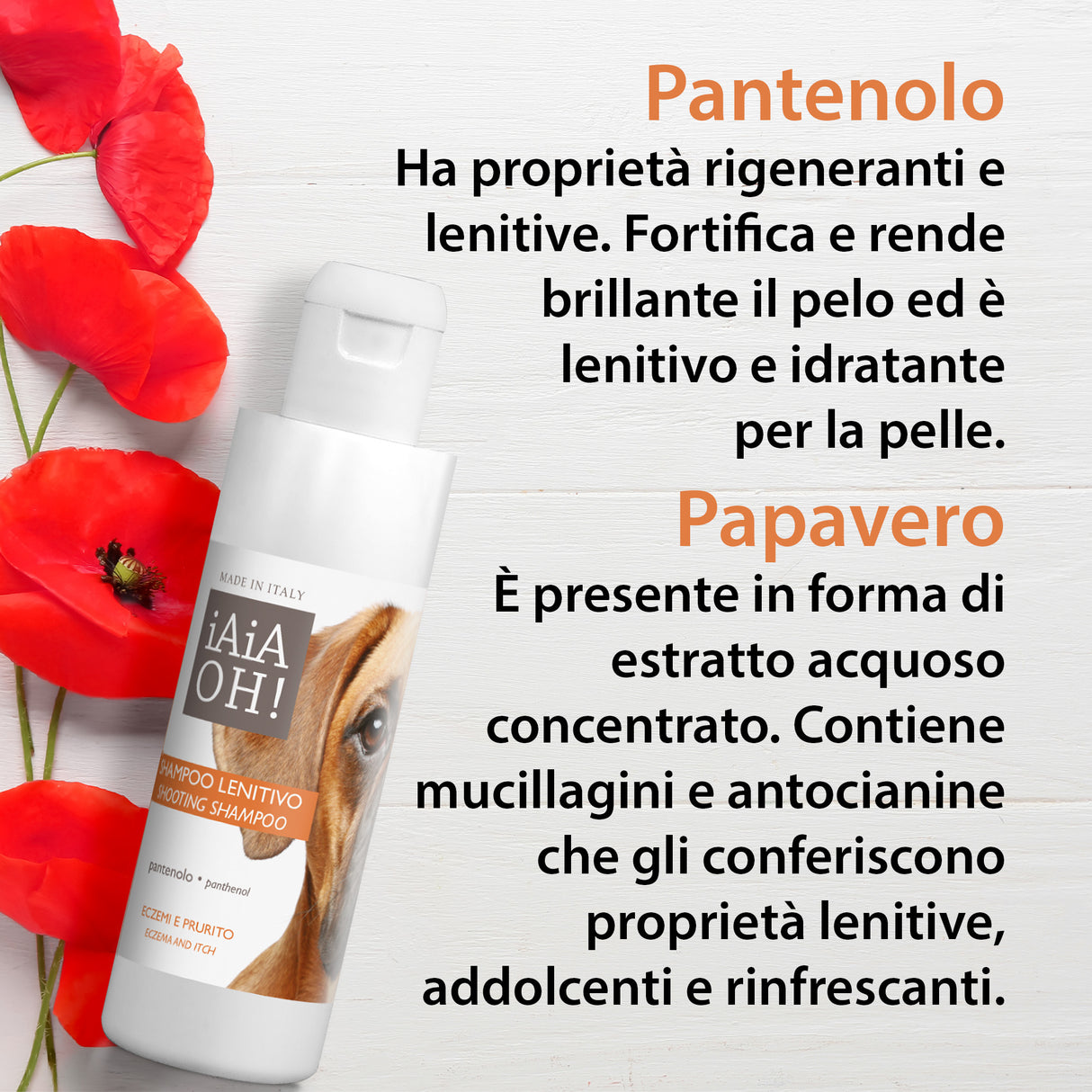 SHAMPOO LENITIVO ECZEMI E PRURITO