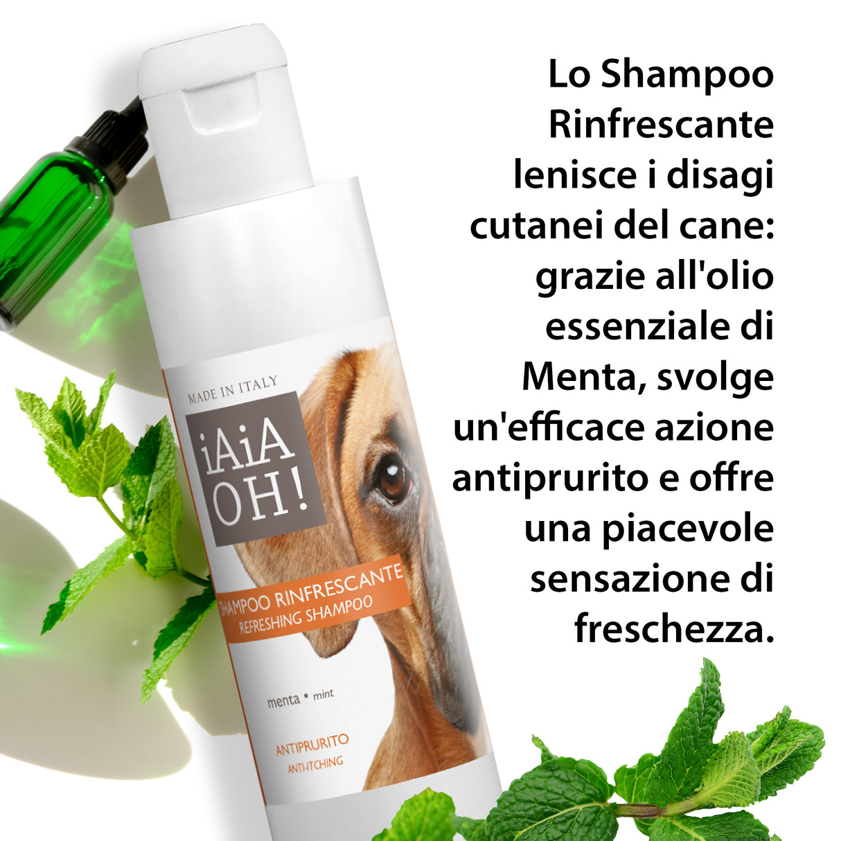 SHAMPOO RINFRESCANTE ANTIPRURITO