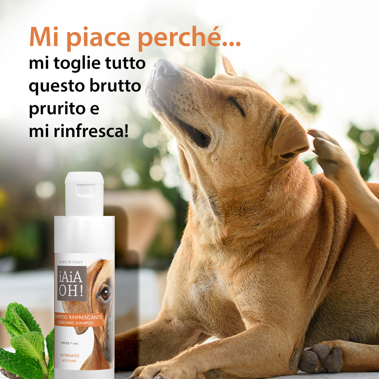 SHAMPOO RINFRESCANTE ANTIPRURITO