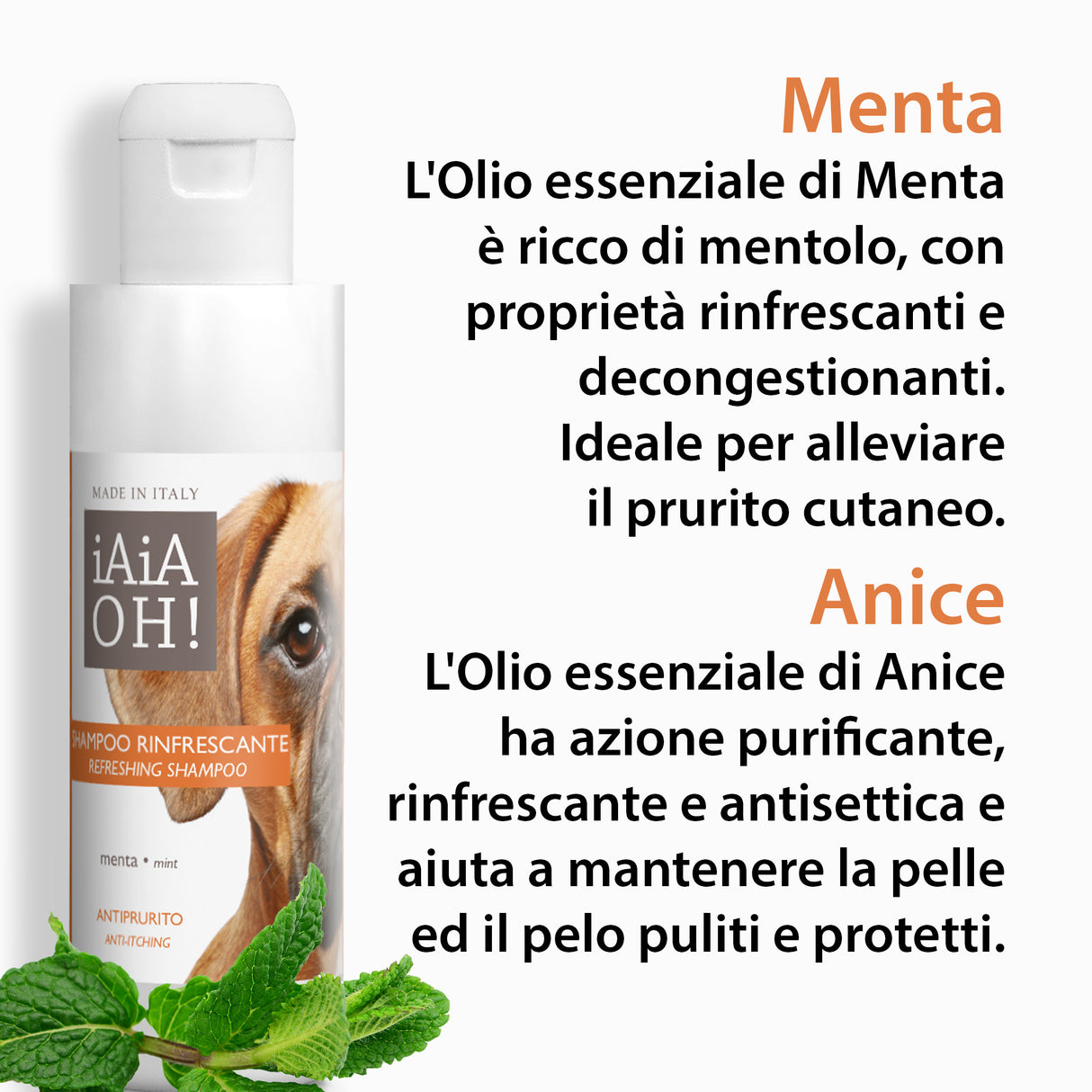 SHAMPOO RINFRESCANTE ANTIPRURITO