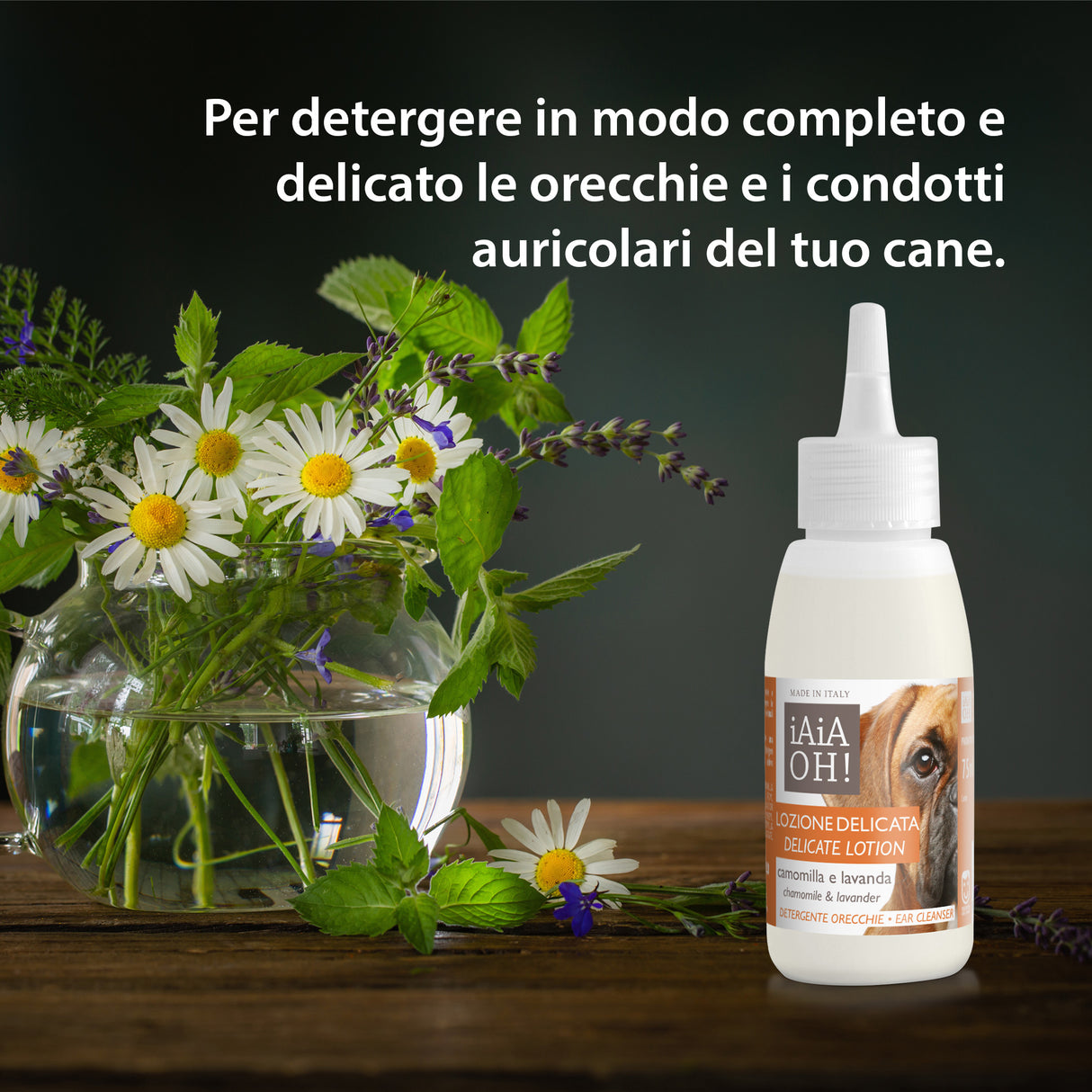LOZIONE DELICATA DETERGENTE ORECCHIE