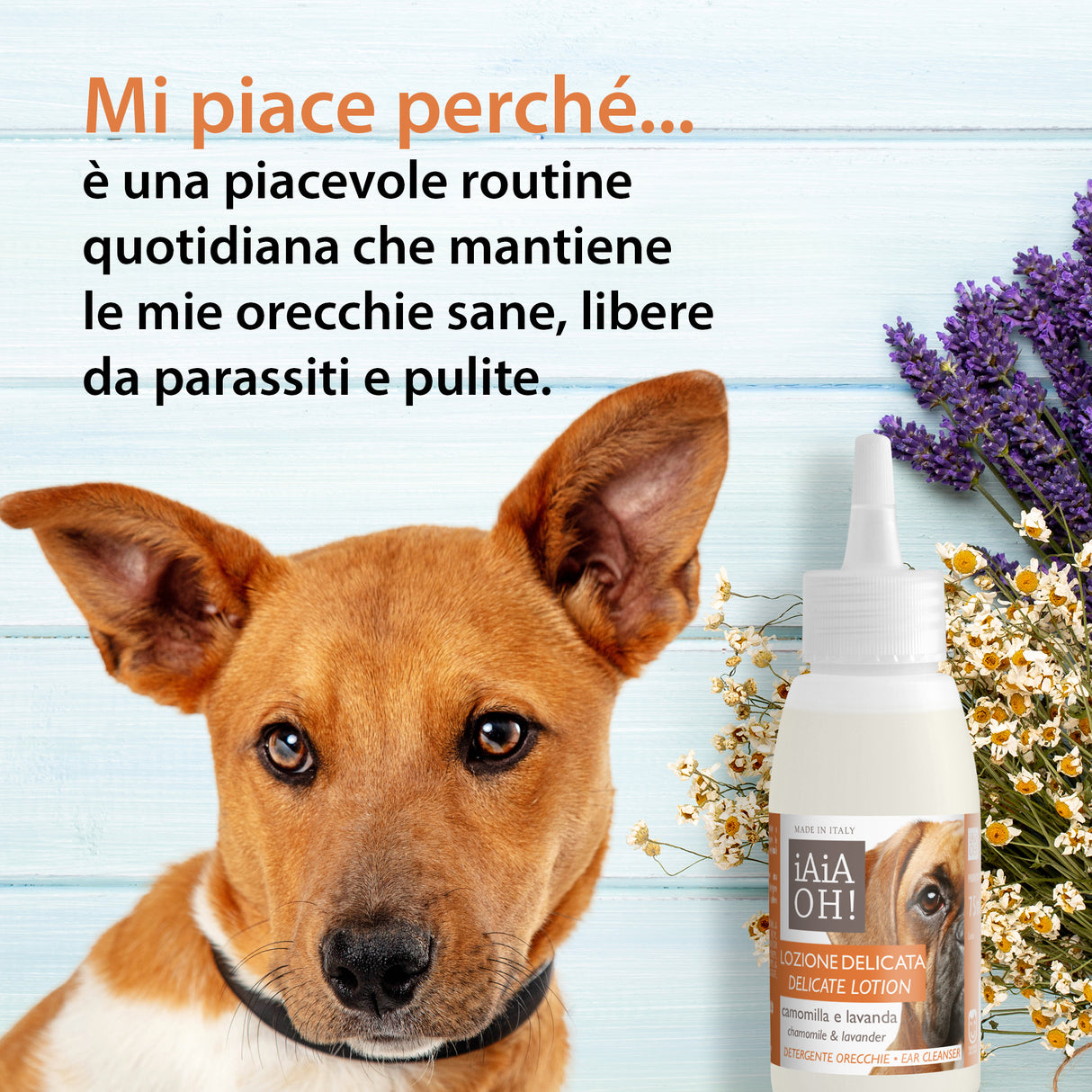 LOZIONE DELICATA DETERGENTE ORECCHIE