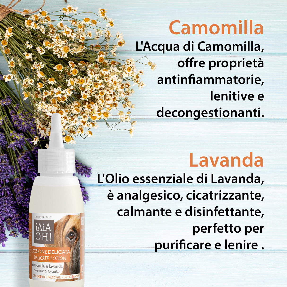 LOZIONE DELICATA DETERGENTE ORECCHIE