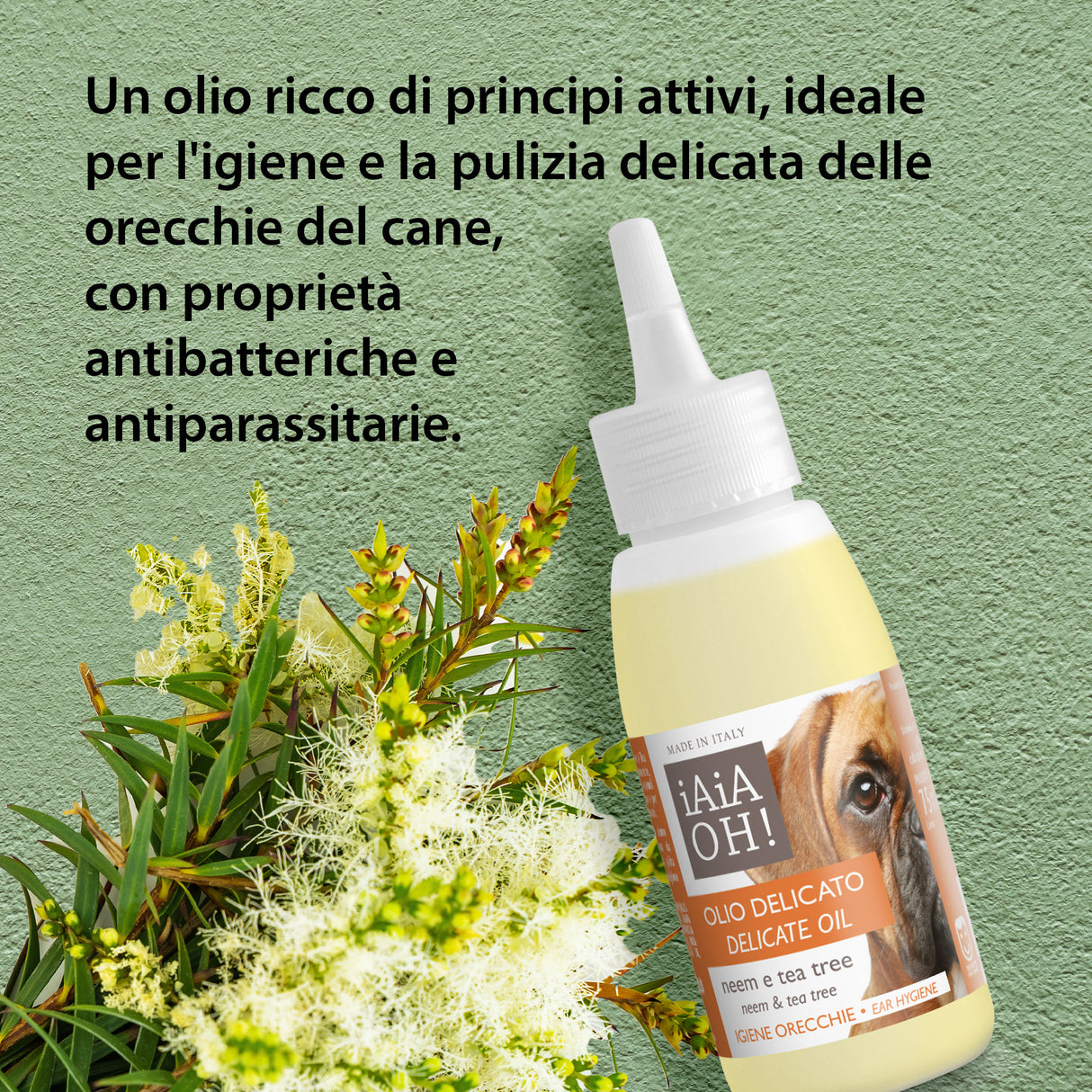 Cofanetto Regalo DOG PROTECTION 🎁