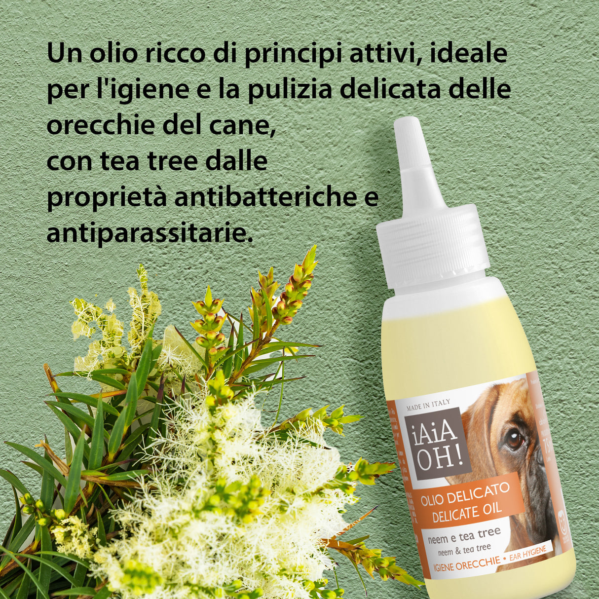 OLIO DELICATO IGIENE ORECCHIE