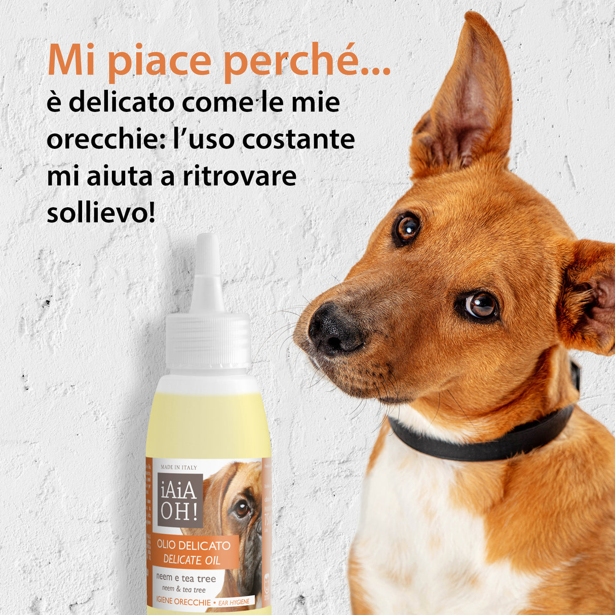 OLIO DELICATO IGIENE ORECCHIE