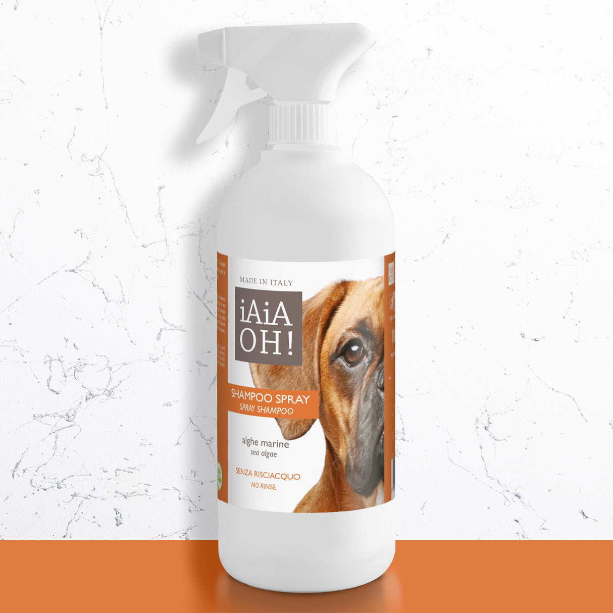 SHAMPOO SPRAY SENZA RISCIACQUO - 750 ml