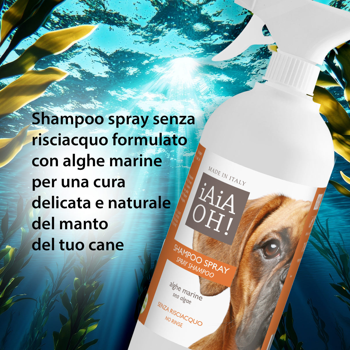 SHAMPOO SPRAY SENZA RISCIACQUO - 750 ml