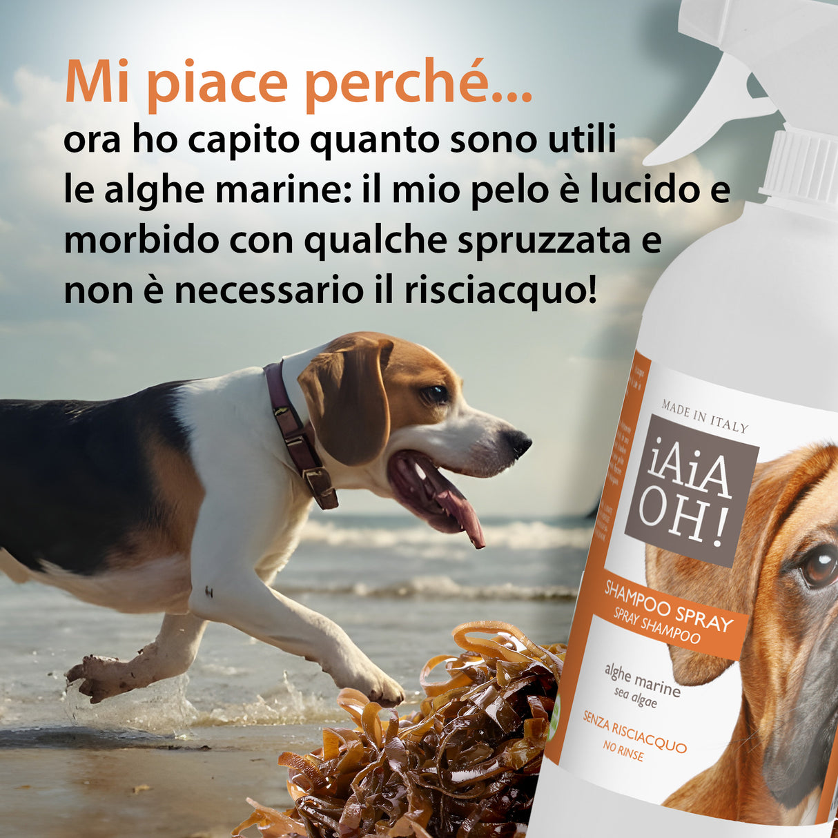 SHAMPOO SPRAY SENZA RISCIACQUO - 750 ml