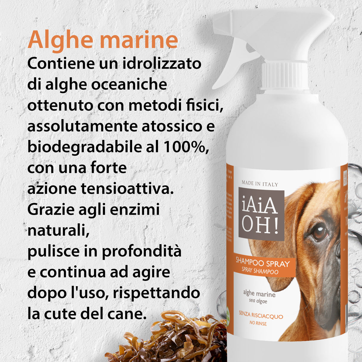 SHAMPOO SPRAY SENZA RISCIACQUO - 750 ml