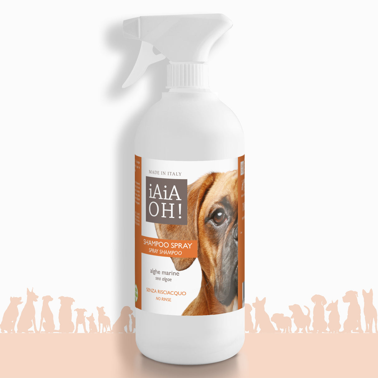 SHAMPOO SPRAY SENZA RISCIACQUO - 750 ml