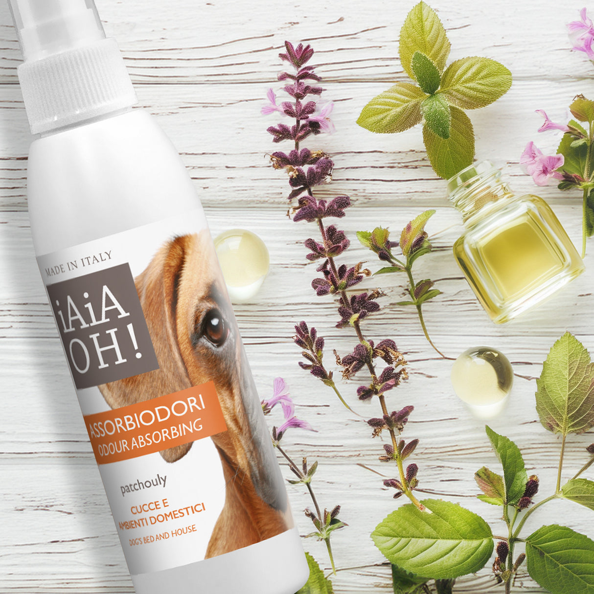 ASSORBIODORI CUCCE E AMBIENTI DOMESTICI