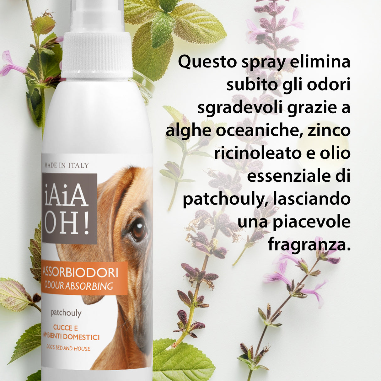 Cofanetto Regalo DOG PROTECTION 🎁
