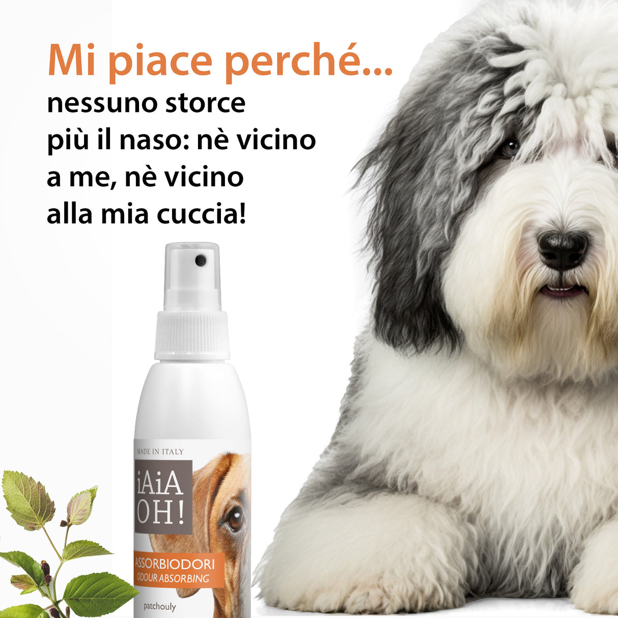 ASSORBIODORI CUCCE E AMBIENTI DOMESTICI