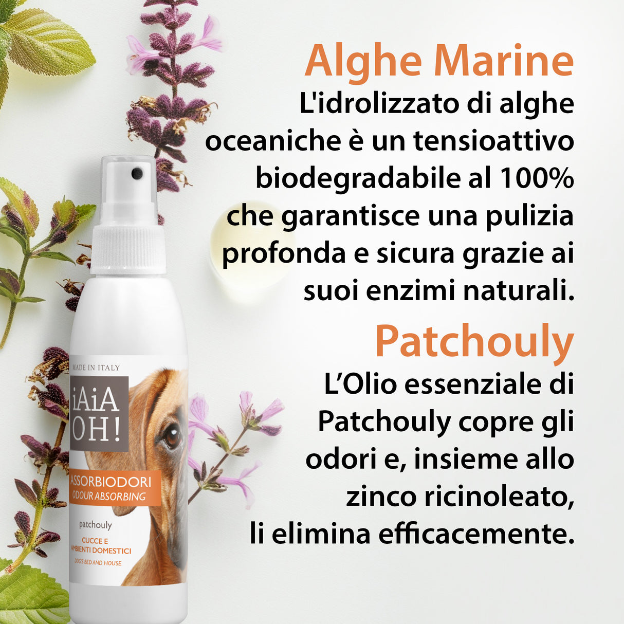 ASSORBIODORI CUCCE E AMBIENTI DOMESTICI