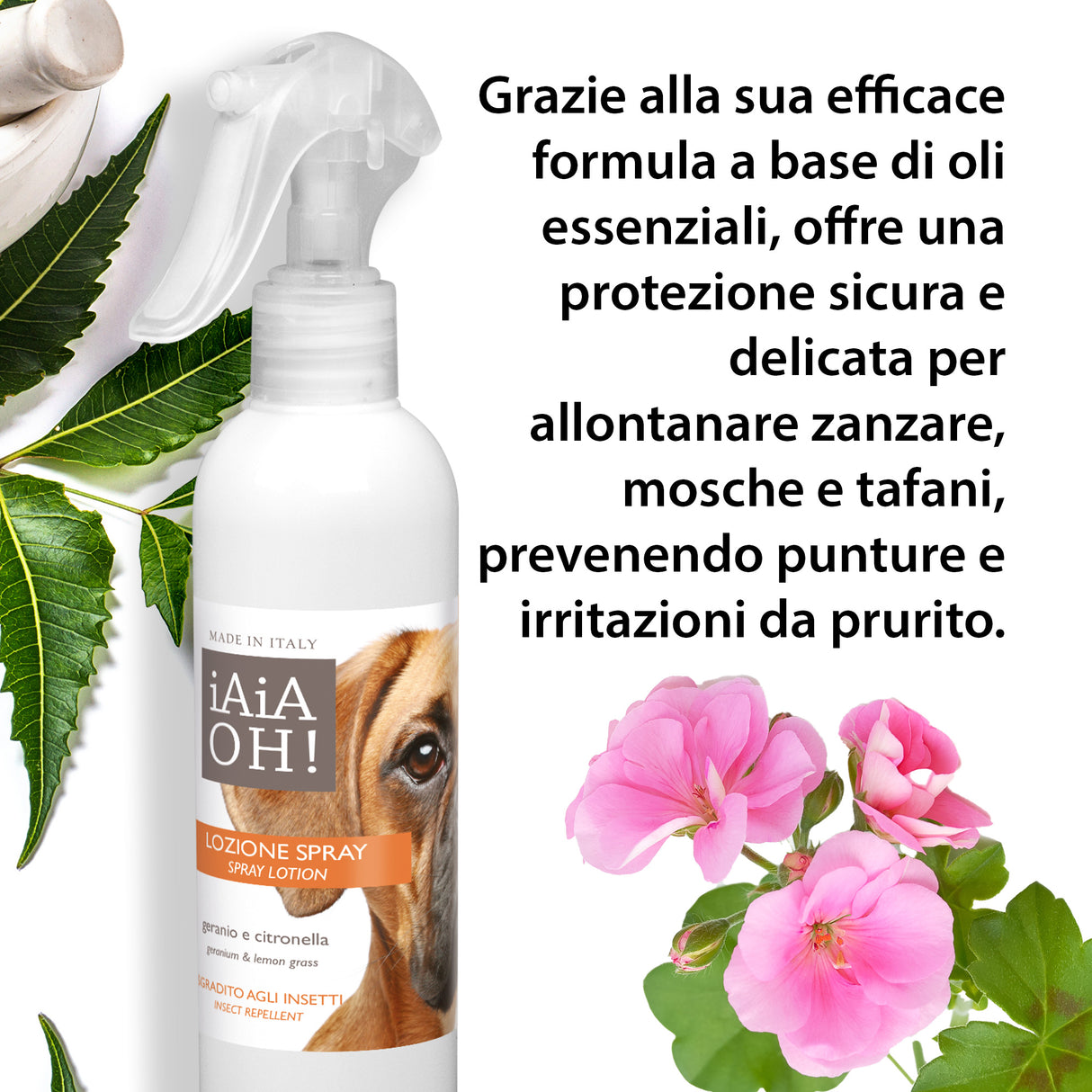 Cofanetto Regalo DOG PROTECTION 🎁
