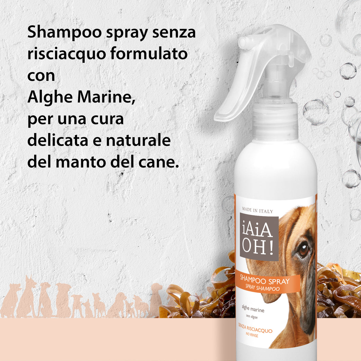 Cofanetto Regalo DOG WELLNESS 🎁