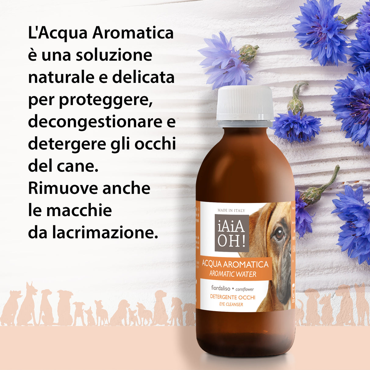 Cofanetto Regalo DOG WELLNESS 🎁