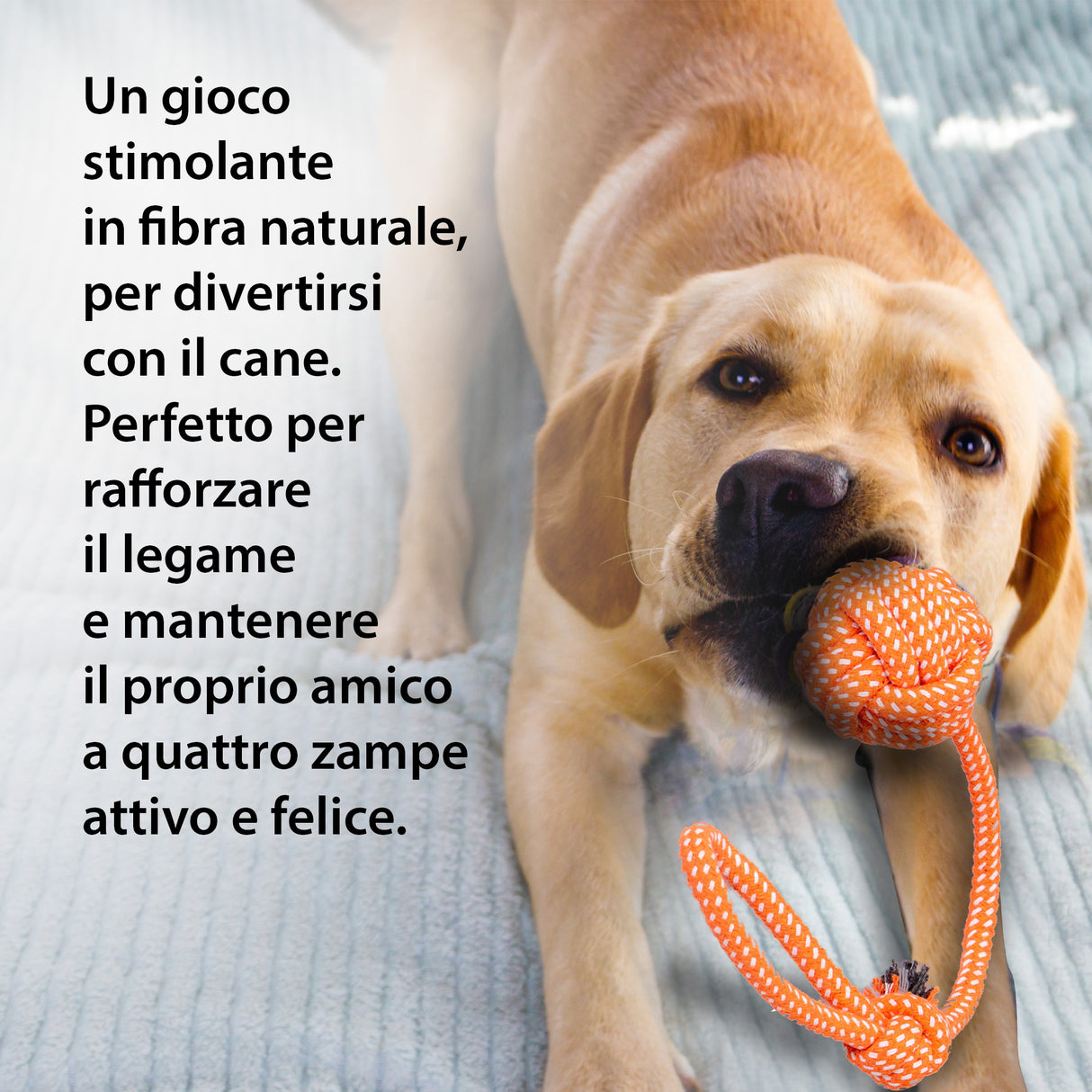 Cofanetto Regalo DOG PROTECTION 🎁