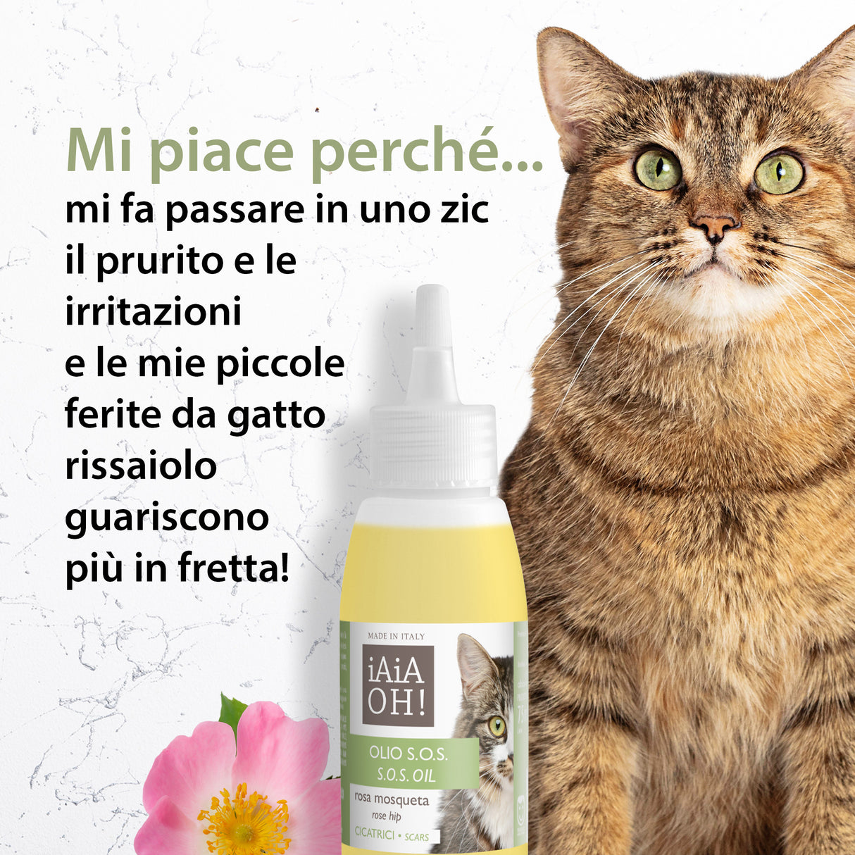 OLIO S.O.S. CICATRICI