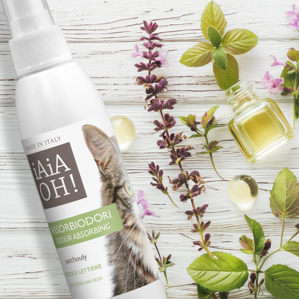 ASSORBIODORI CUCCE E LETTIERE