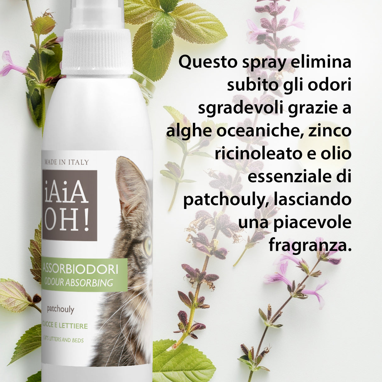 ASSORBIODORI CUCCE E LETTIERE