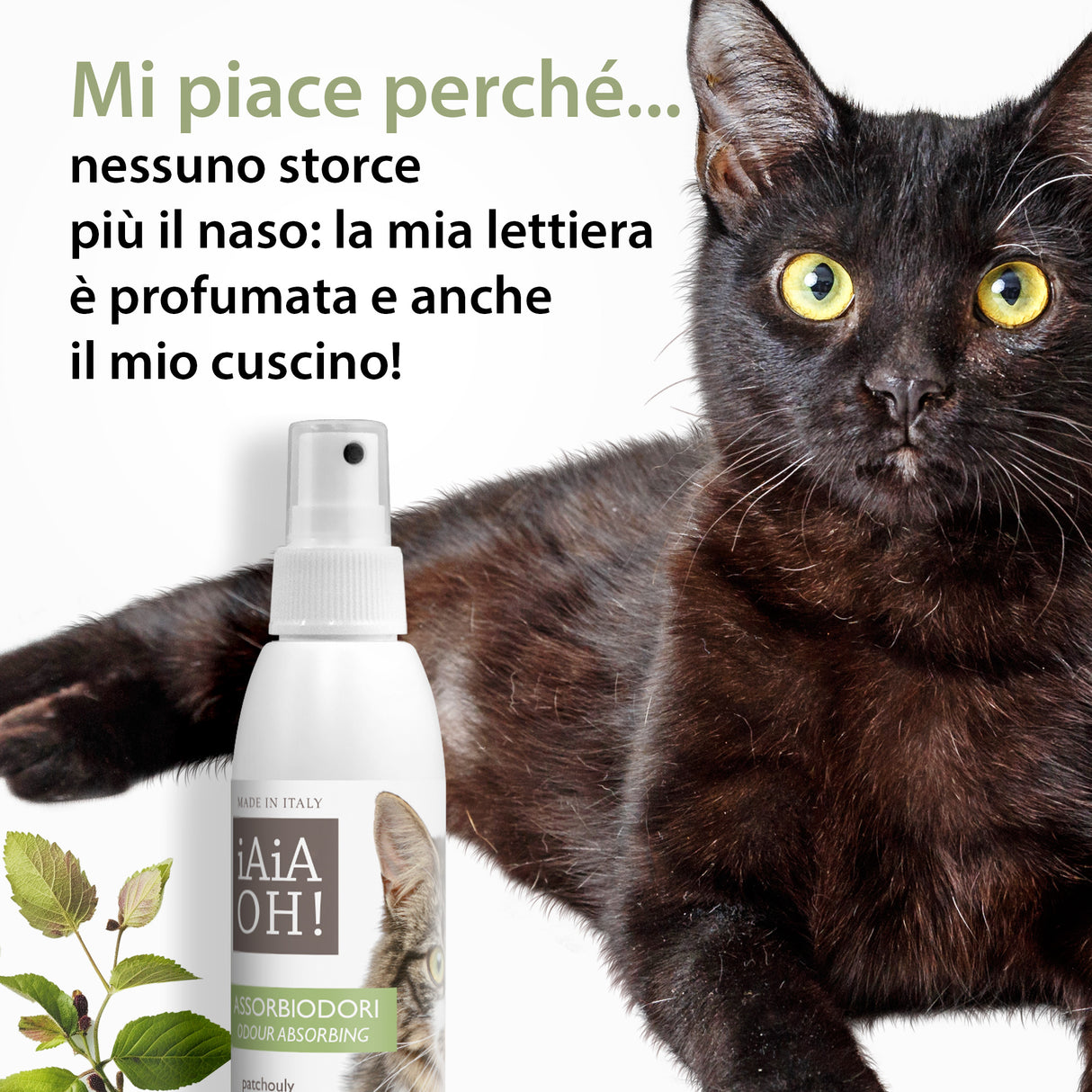 ASSORBIODORI CUCCE E LETTIERE