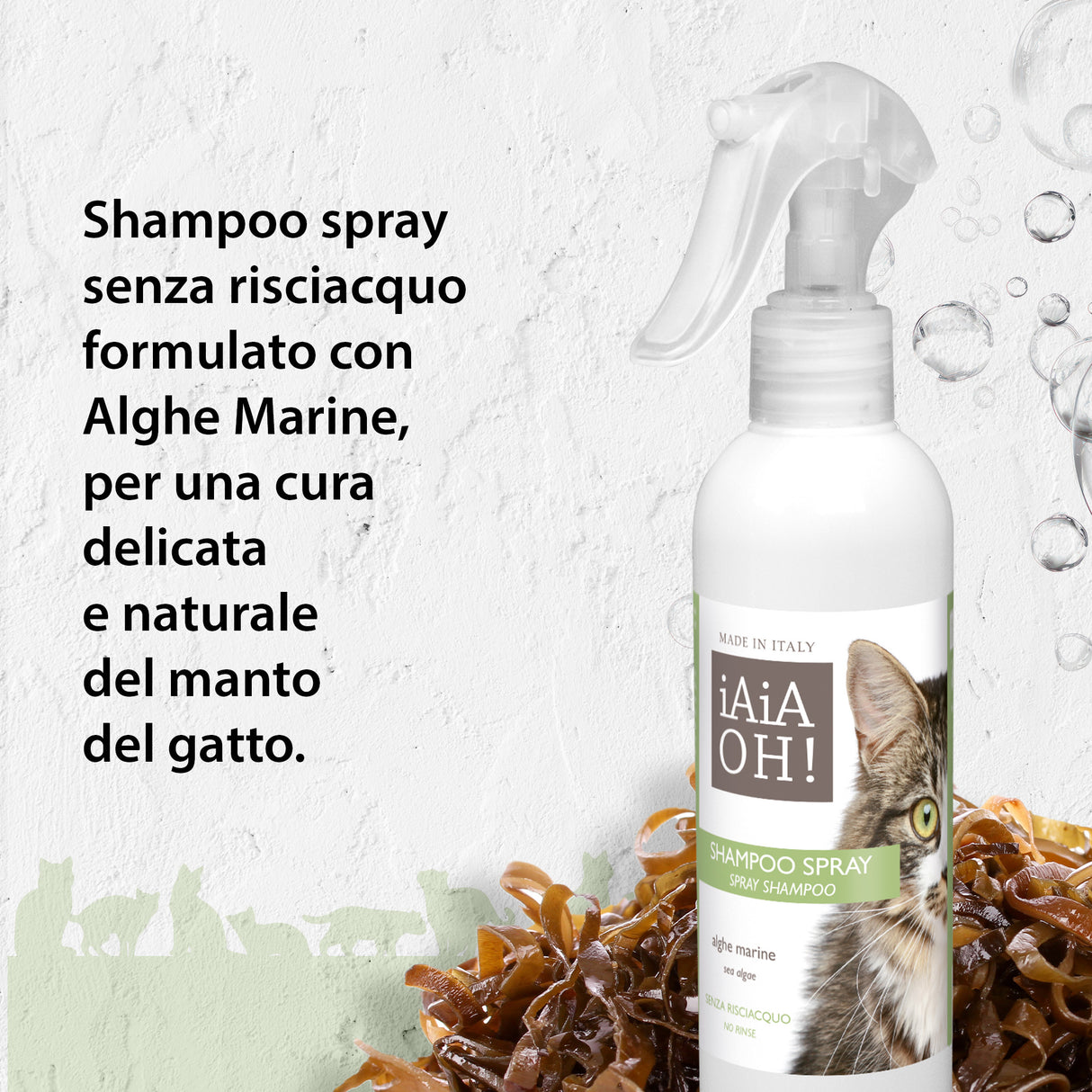 Cofanetto Regalo CAT PROTECTION 🎁