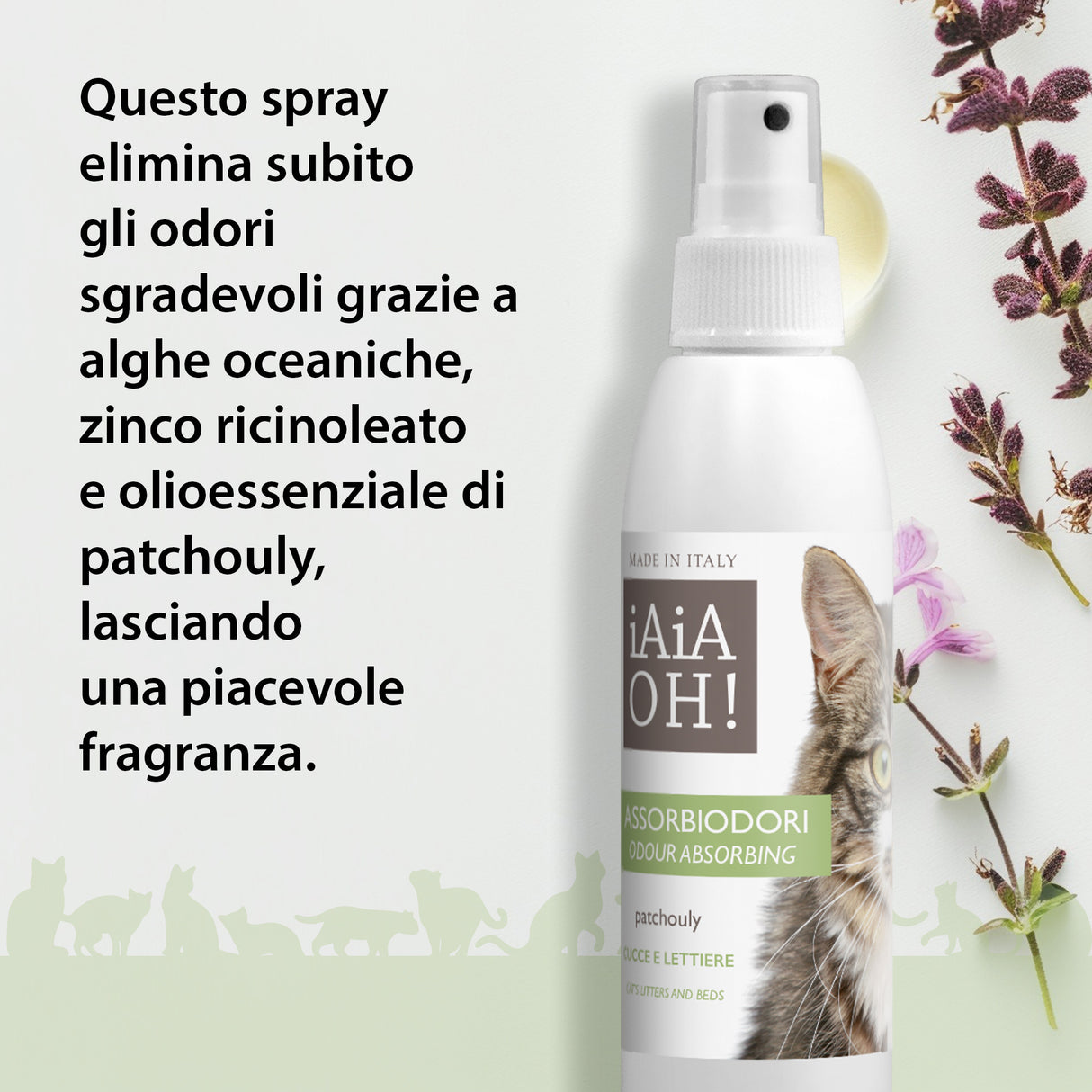 Cofanetto Regalo CAT PROTECTION 🎁