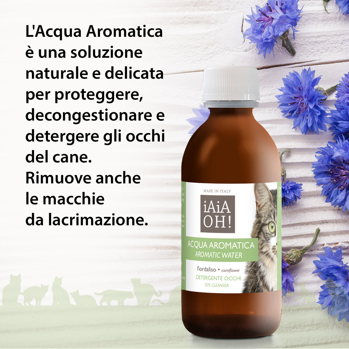 Cofanetto Regalo CAT PROTECTION 🎁