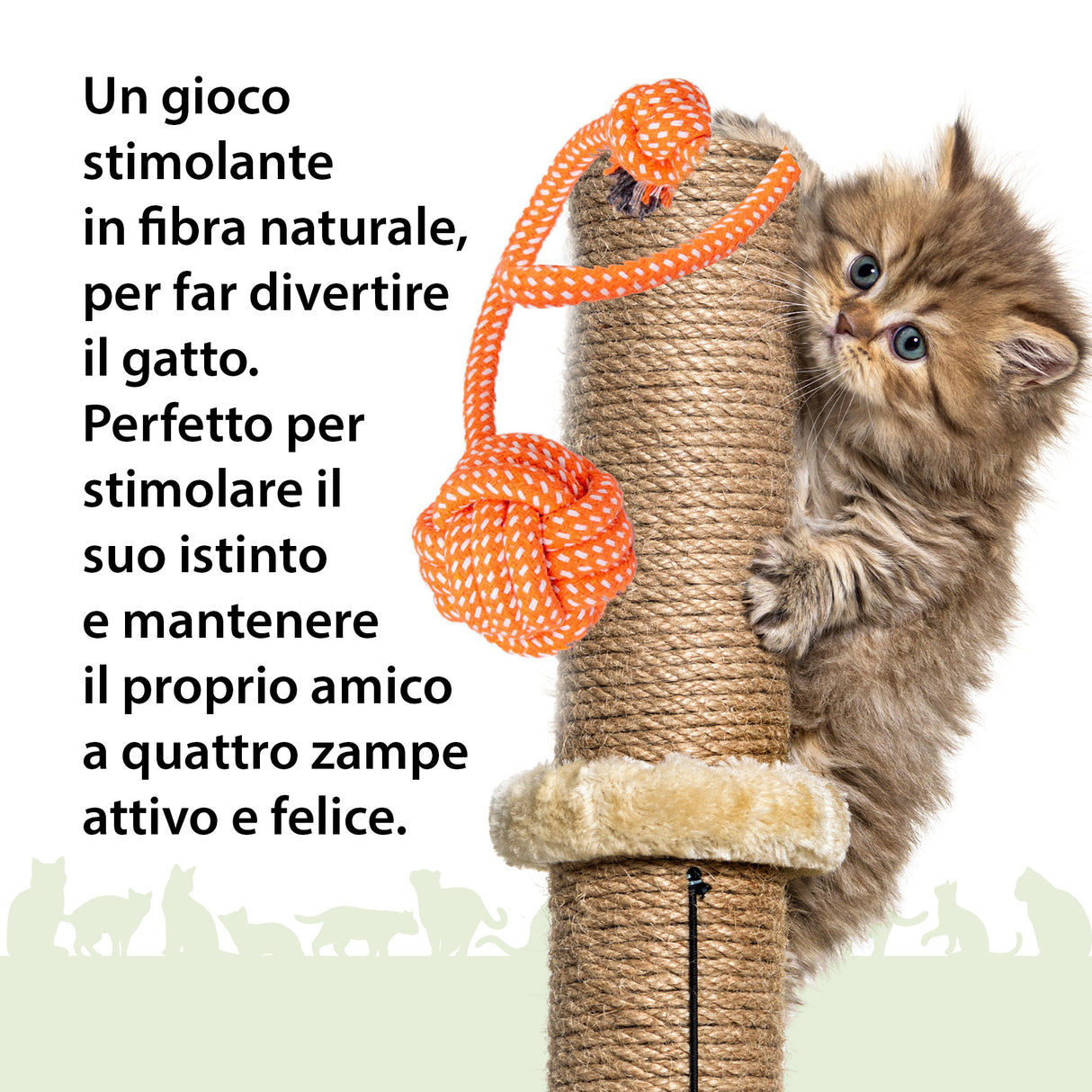 Cofanetto Regalo CAT PROTECTION 🎁