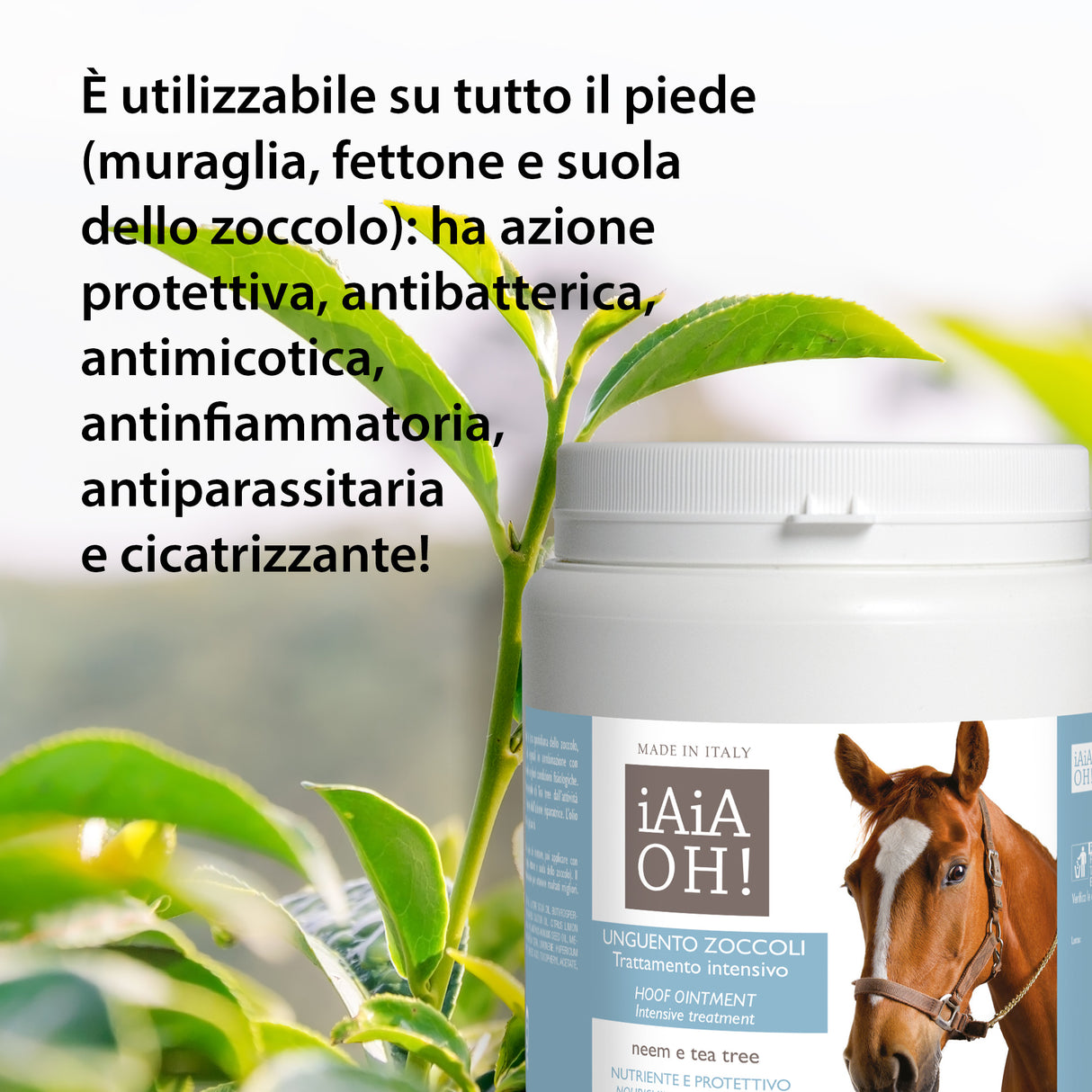 UNGUENTO ZOCCOLI TRATTAMENTO INTENSIVO