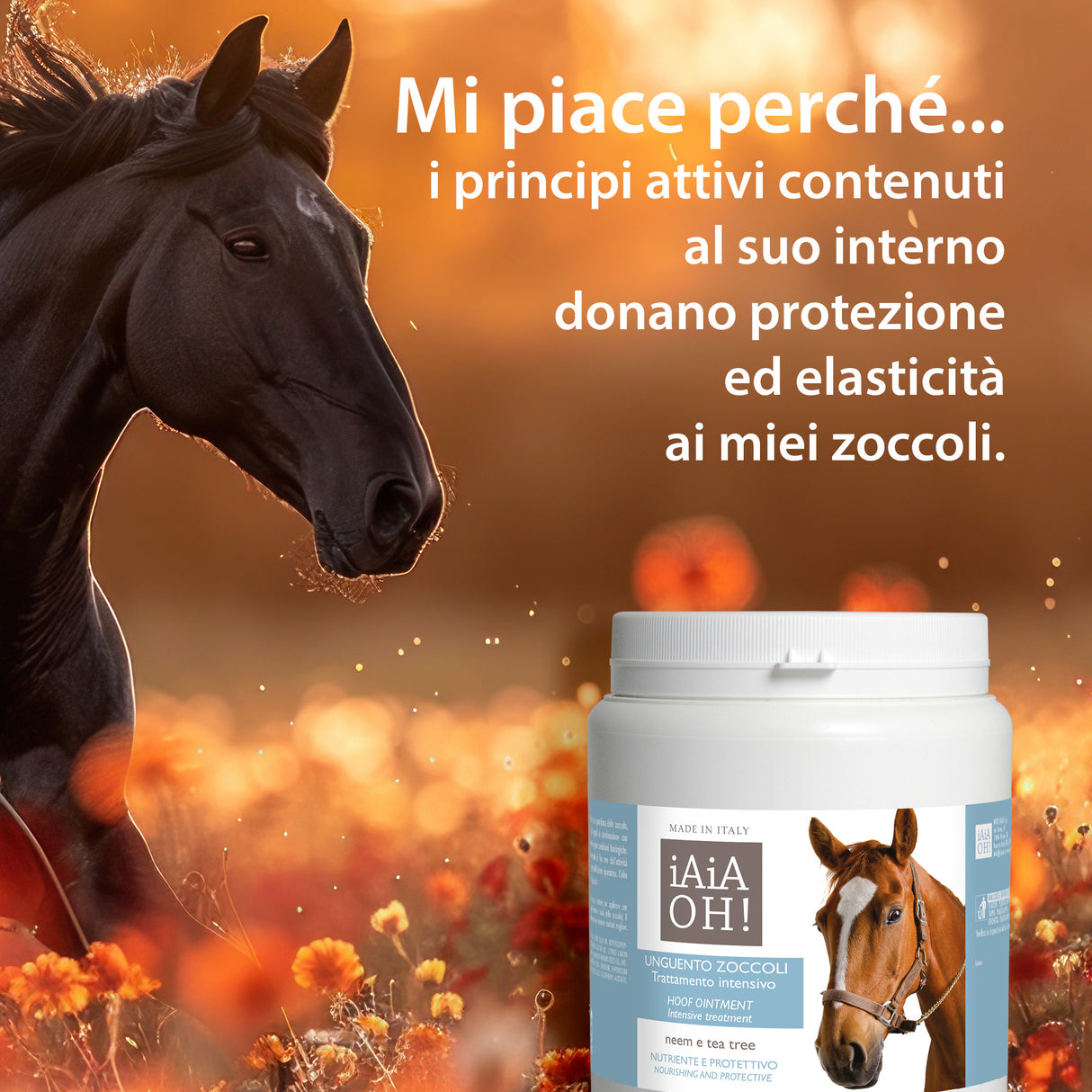 UNGUENTO ZOCCOLI TRATTAMENTO INTENSIVO