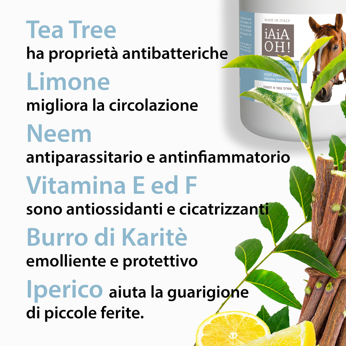 UNGUENTO ZOCCOLI TRATTAMENTO INTENSIVO