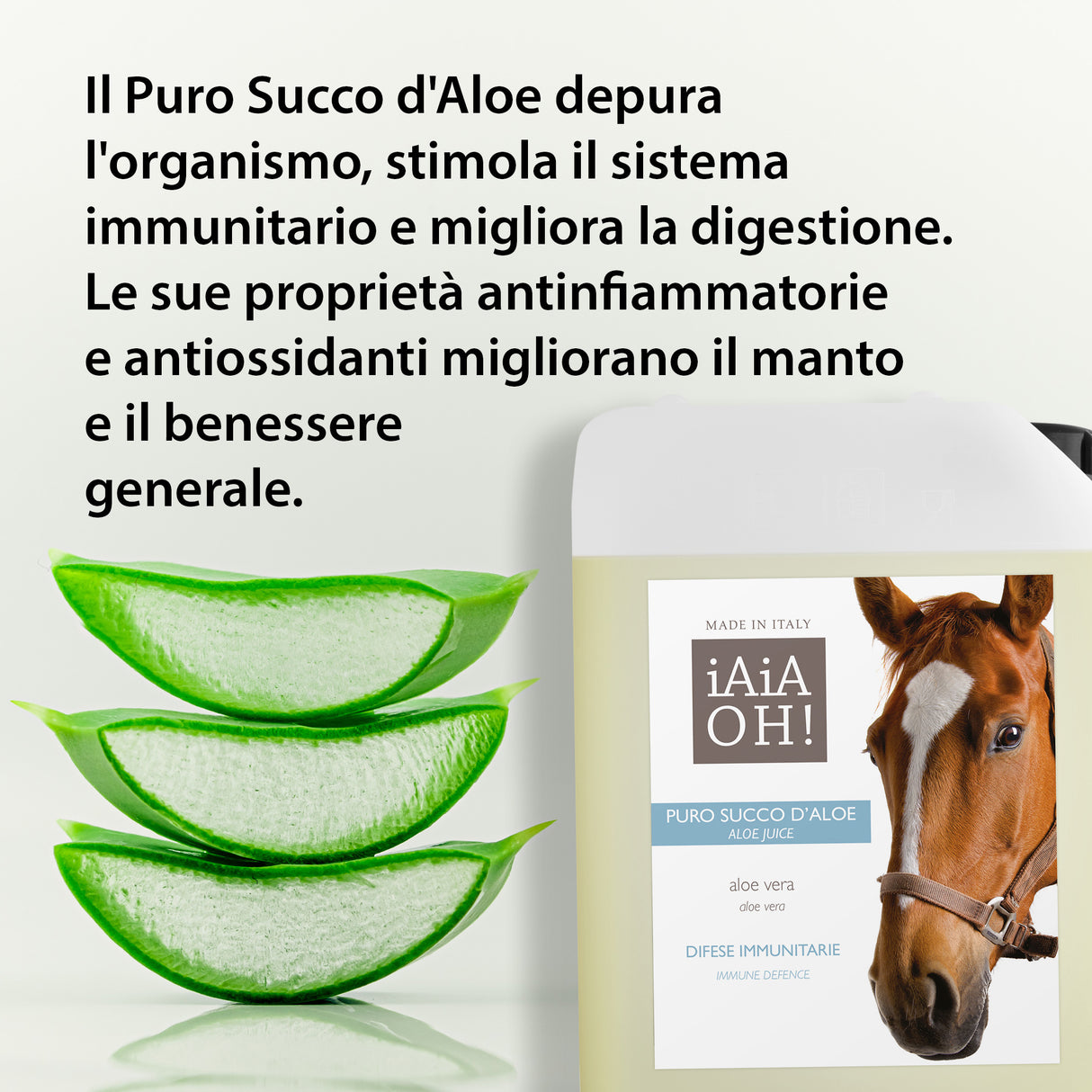 PURE ALOE JUICE IMMUNE DEFENSE