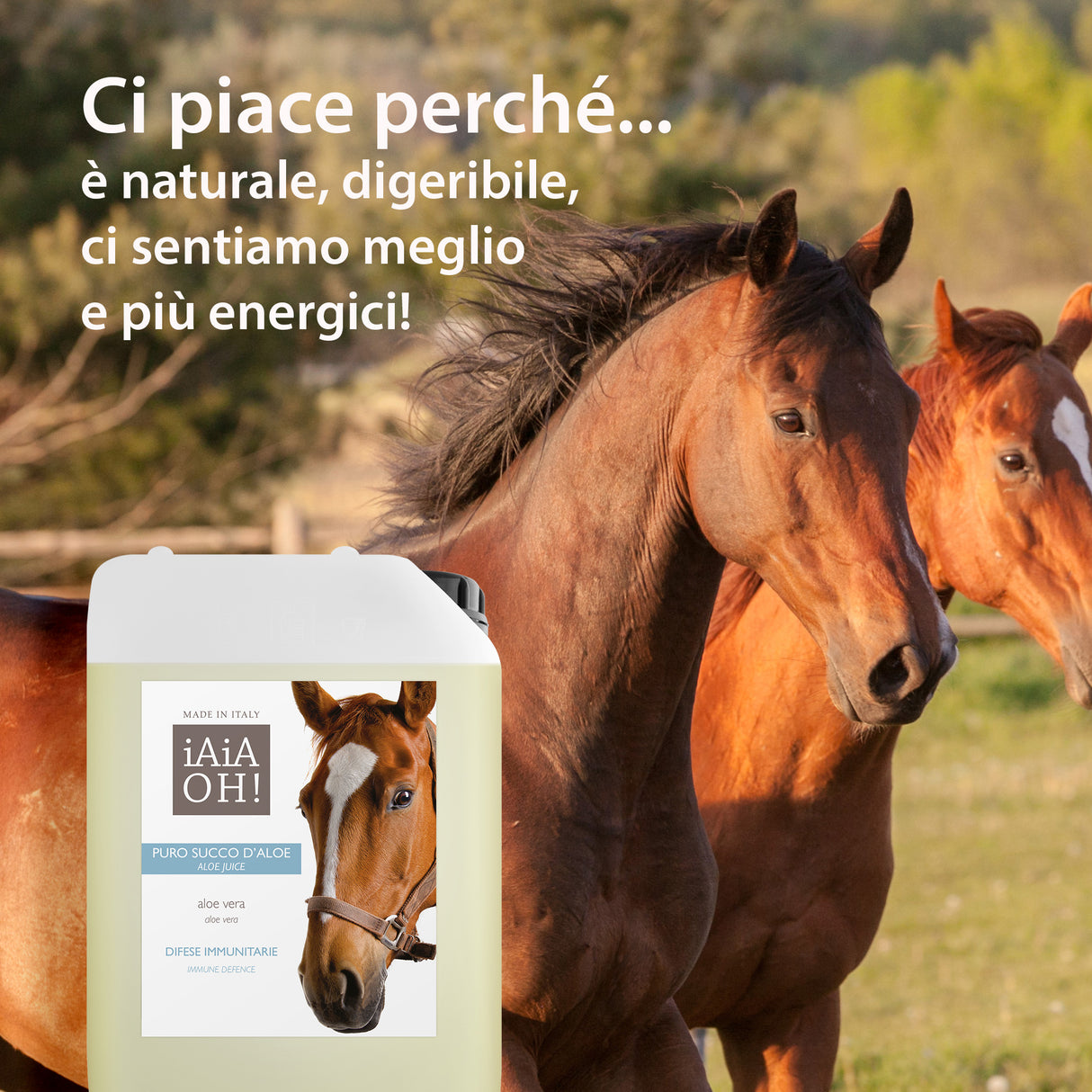 PURE ALOE JUICE IMMUNE DEFENSE