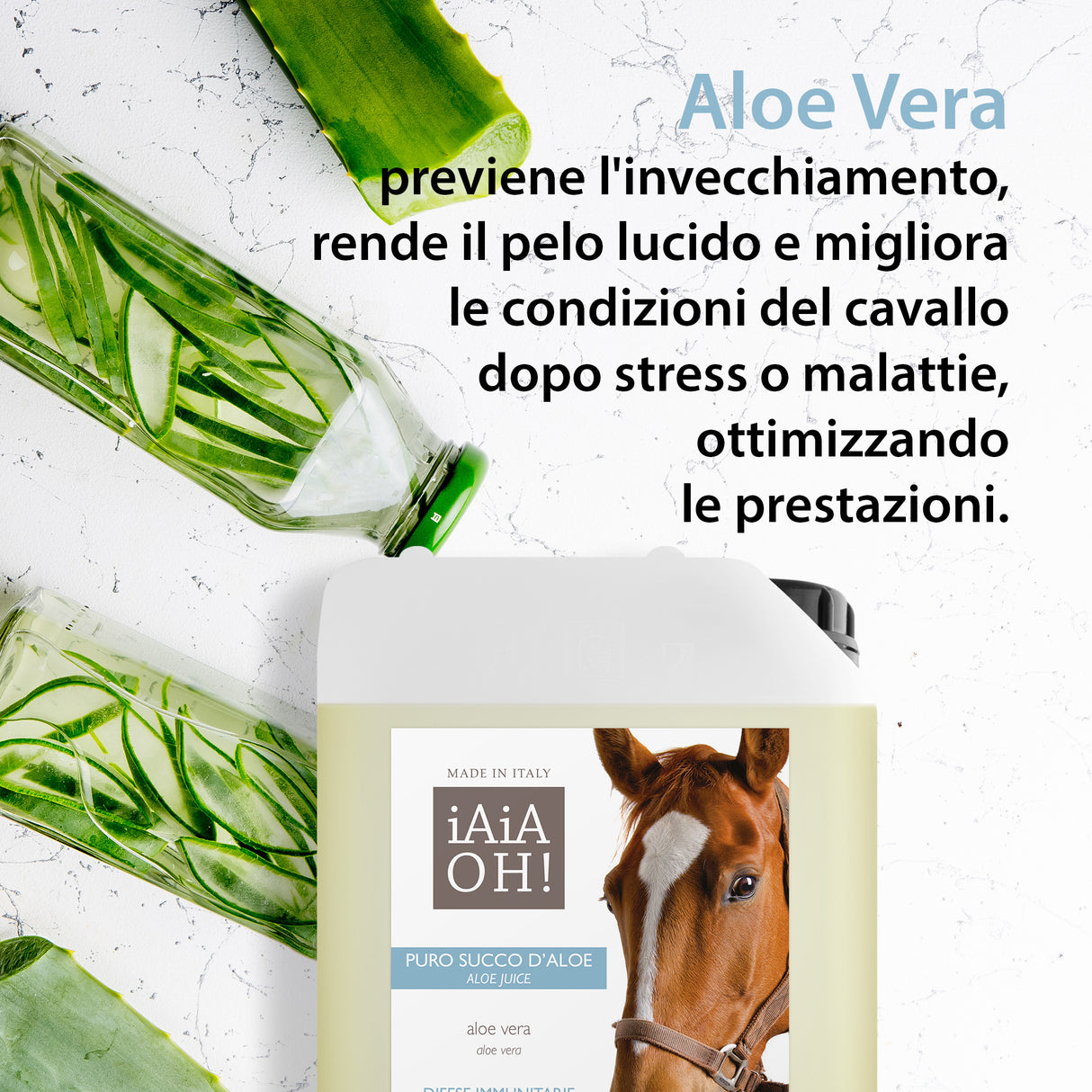 PURE ALOE JUICE IMMUNE DEFENSE