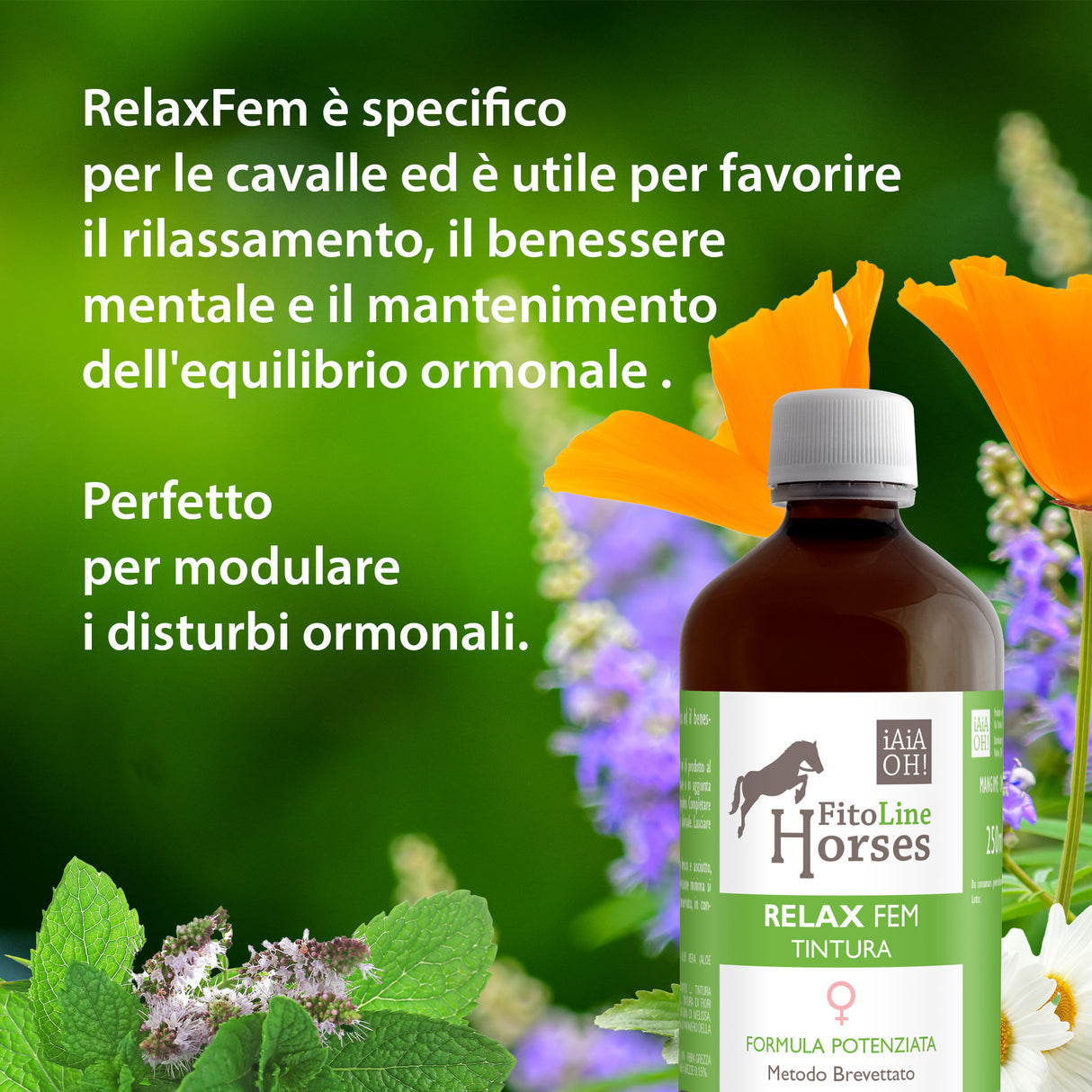 TINTURA RELAX FEM BENESSERE, RILASSAMENTO ED EQUILIBRIO ORMONALE CAVALLE
