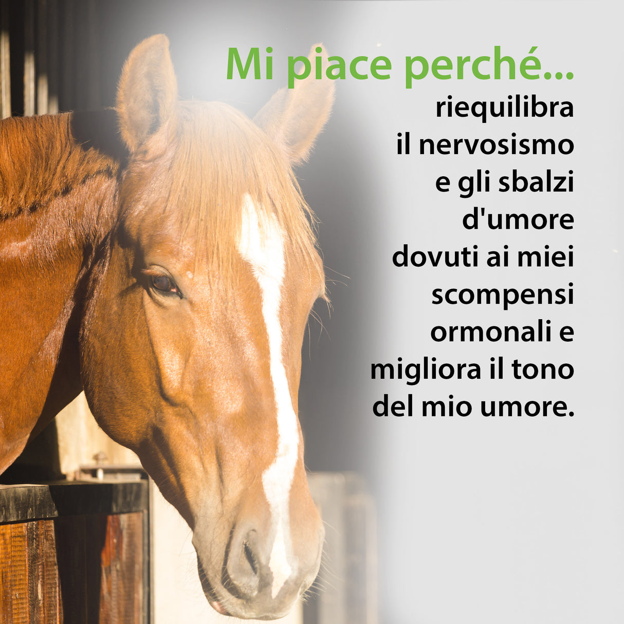 TINTURA RELAX FEM BENESSERE, RILASSAMENTO ED EQUILIBRIO ORMONALE CAVALLE