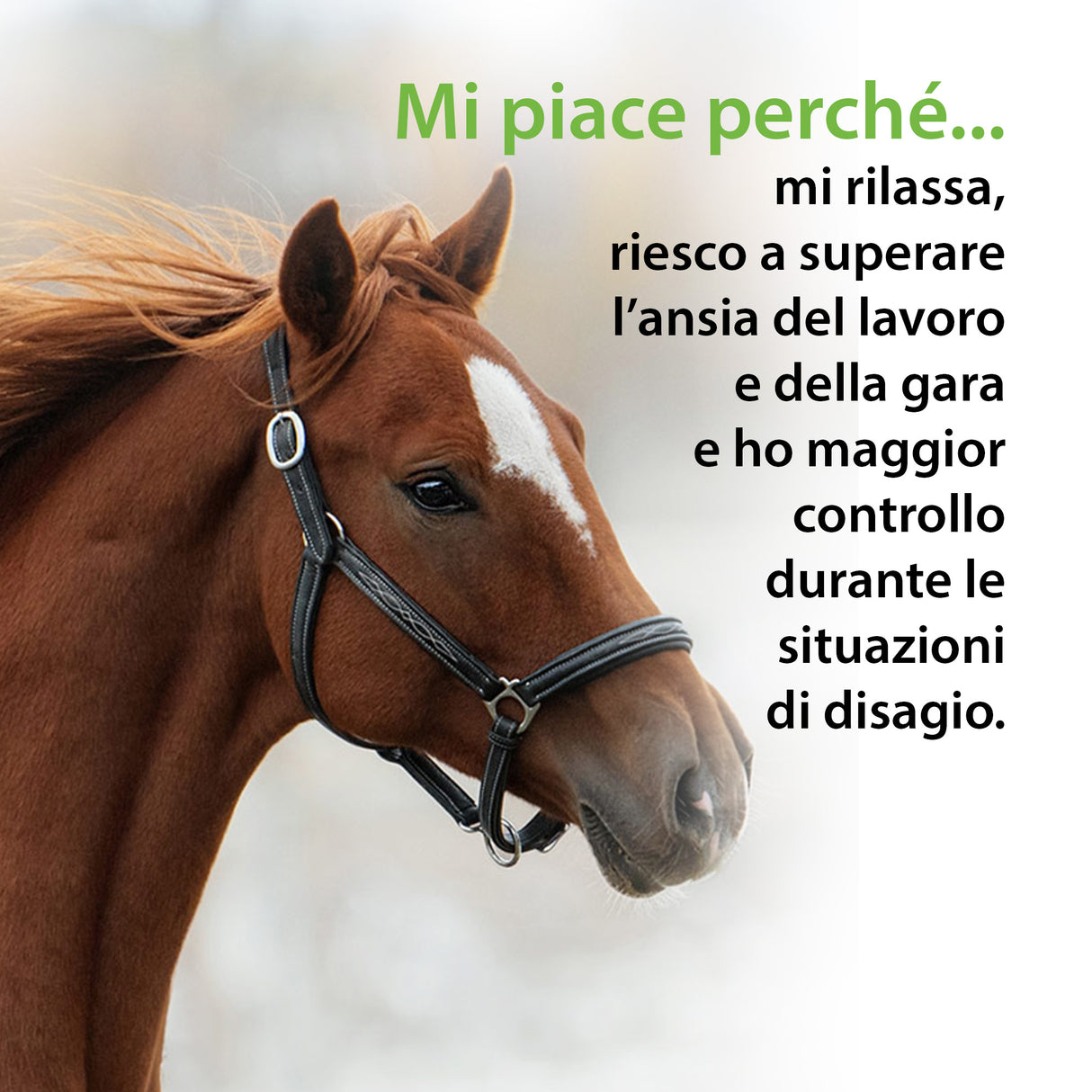 TINTURA RELAX RILASSAMENTO E BENESSERE MENTALE