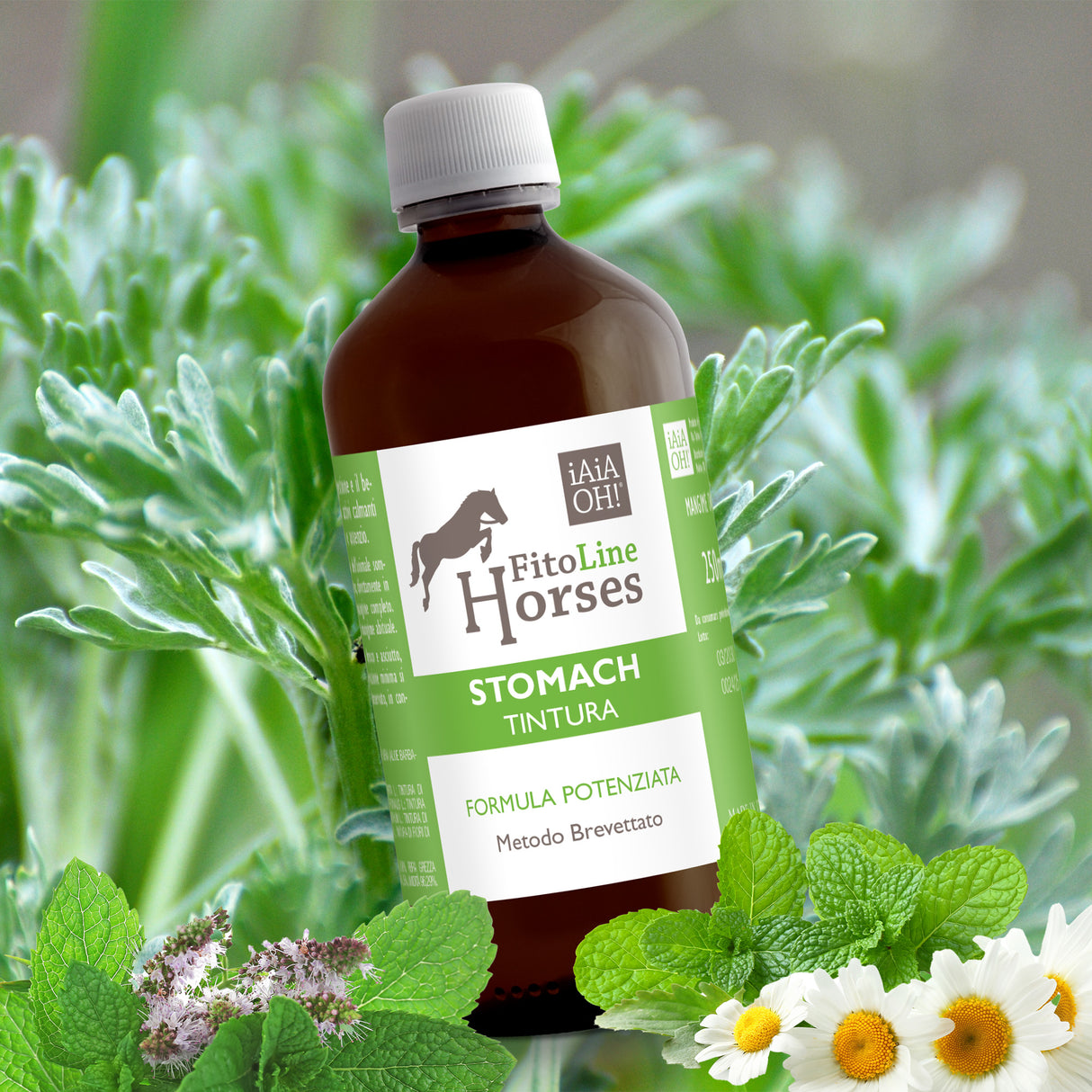 STOMACH TINTURA - Supporto naturale per la digestione e il benessere gastrico del cavallo