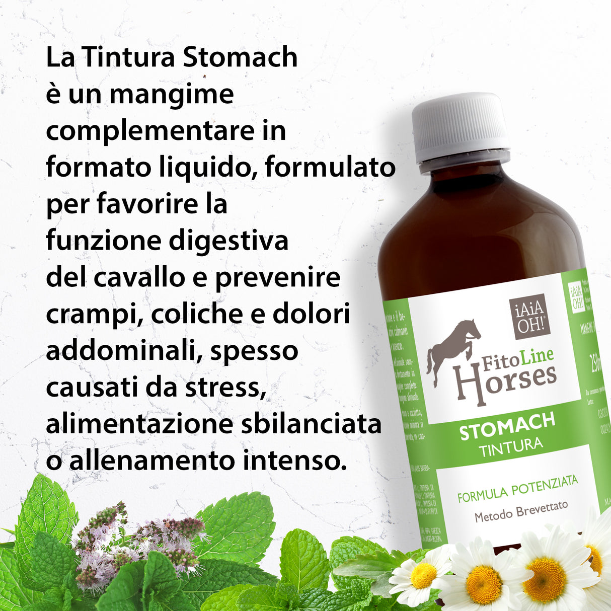 STOMACH TINTURA - Supporto naturale per la digestione e il benessere gastrico del cavallo