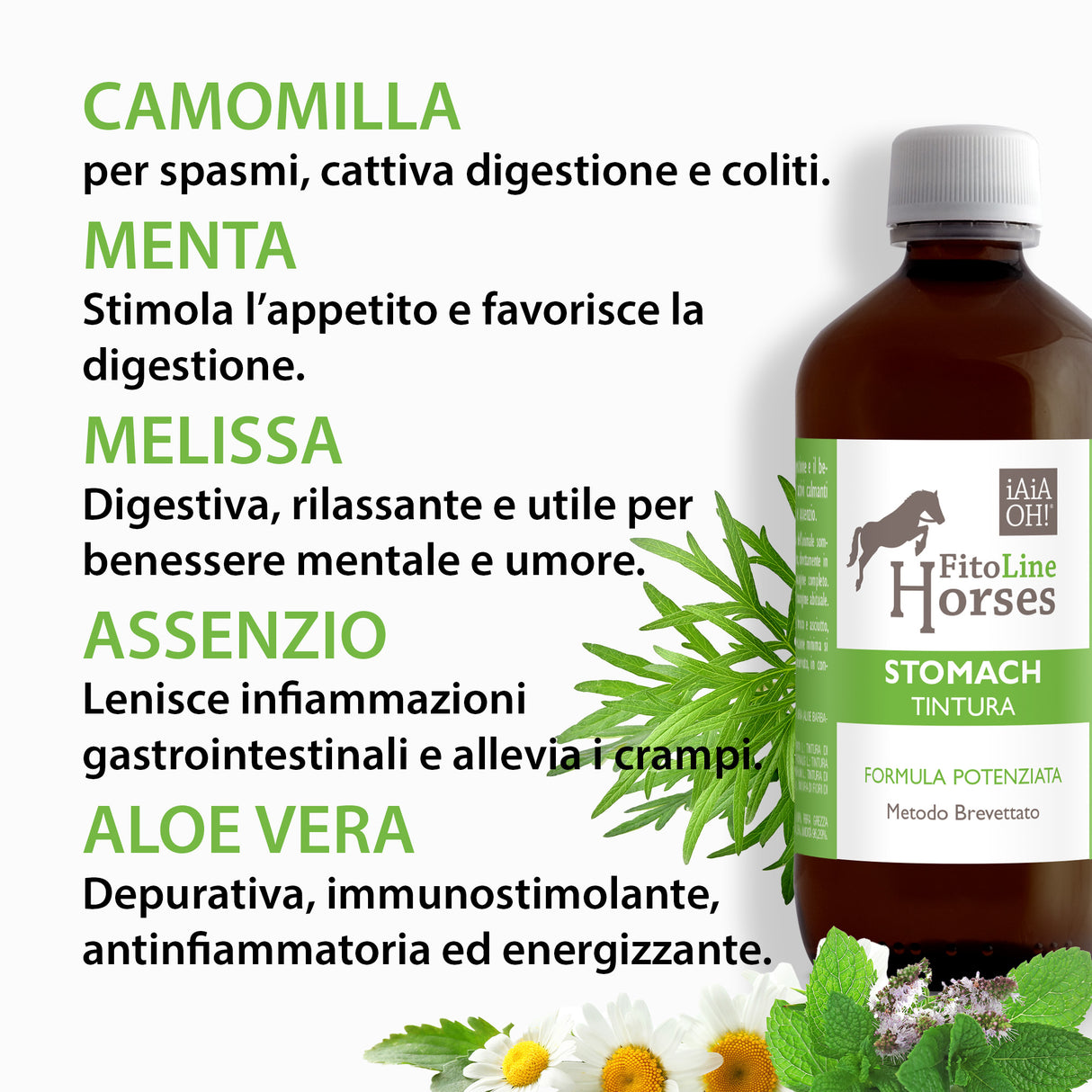STOMACH TINTURA - Supporto naturale per la digestione e il benessere gastrico del cavallo