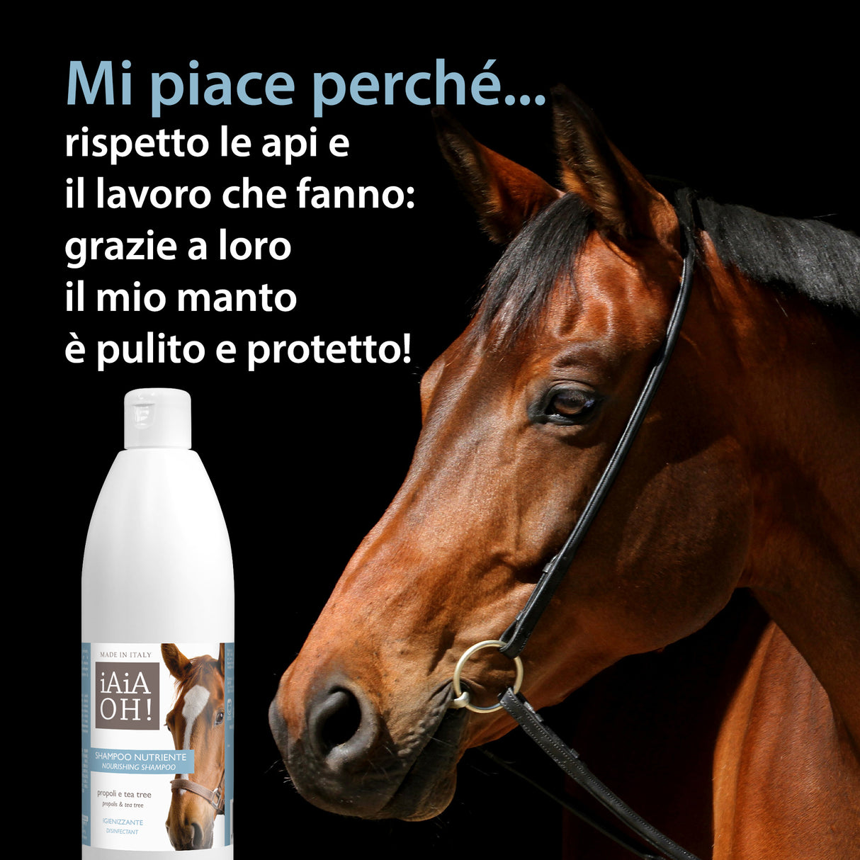 SHAMPOO NUTRIENTE IGIENIZZANTE