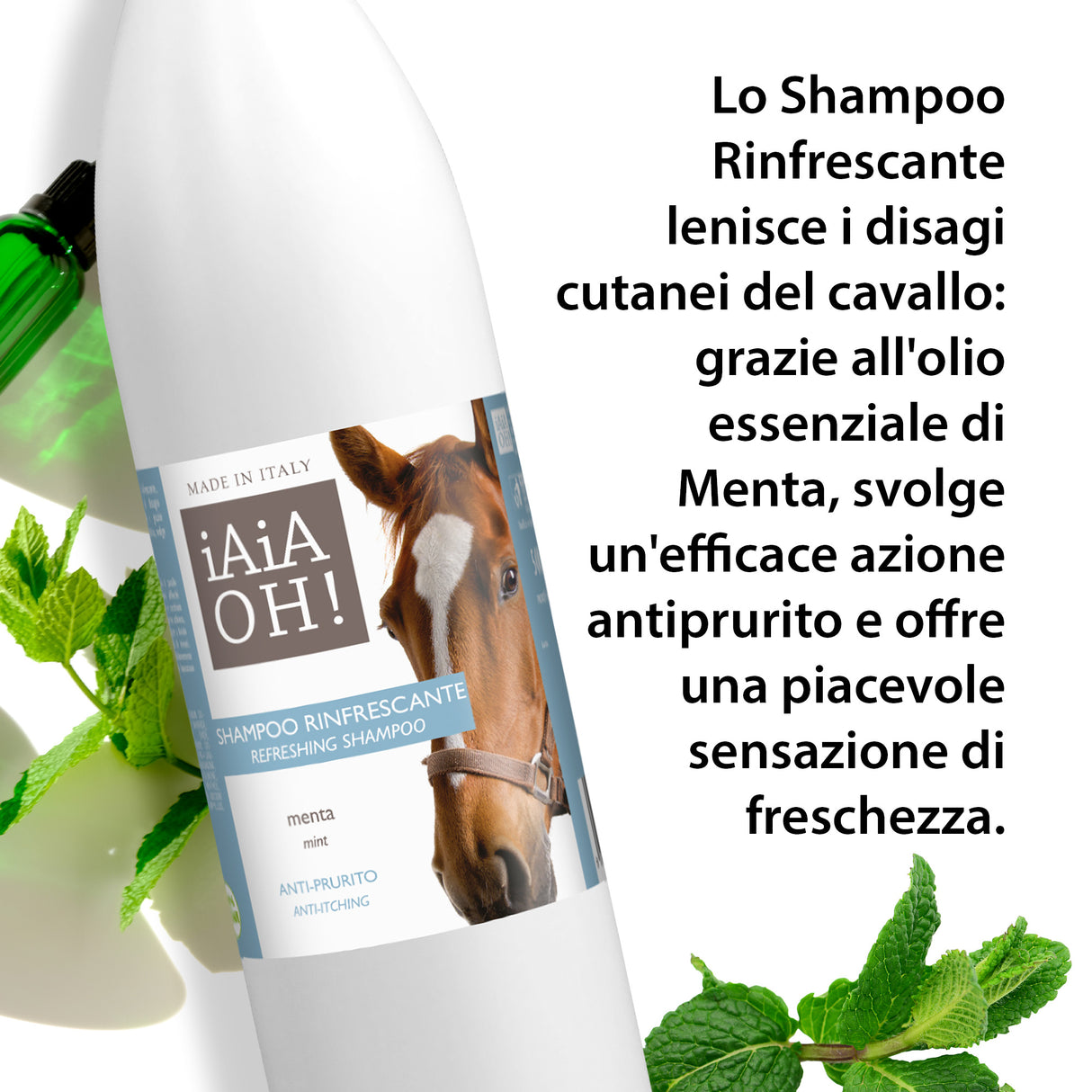 SHAMPOO RINFRESCANTE ANTIPRURITO