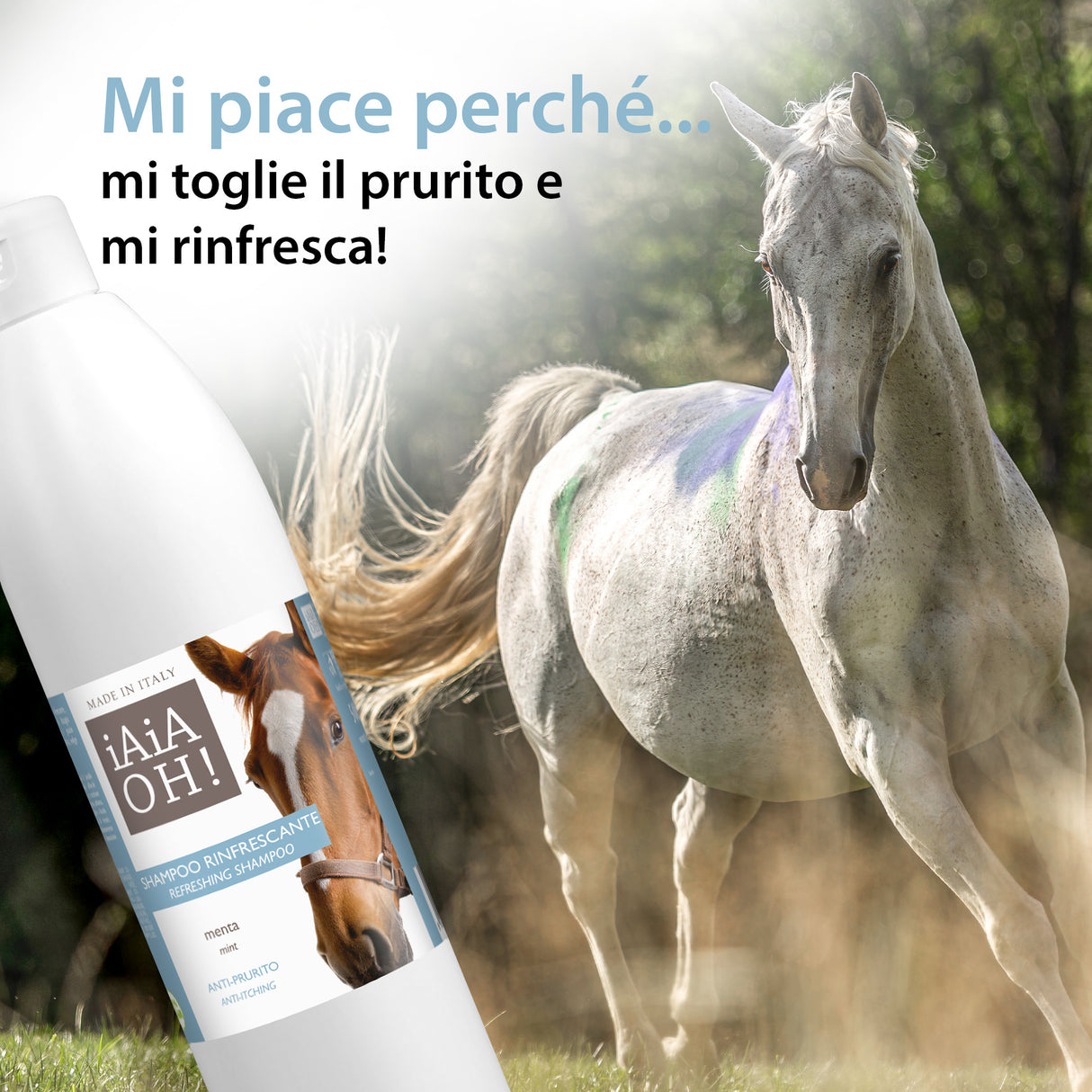 SHAMPOO RINFRESCANTE ANTIPRURITO