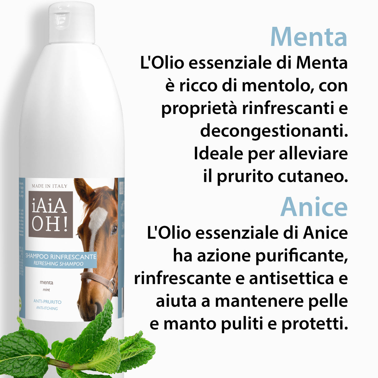 SHAMPOO RINFRESCANTE ANTIPRURITO